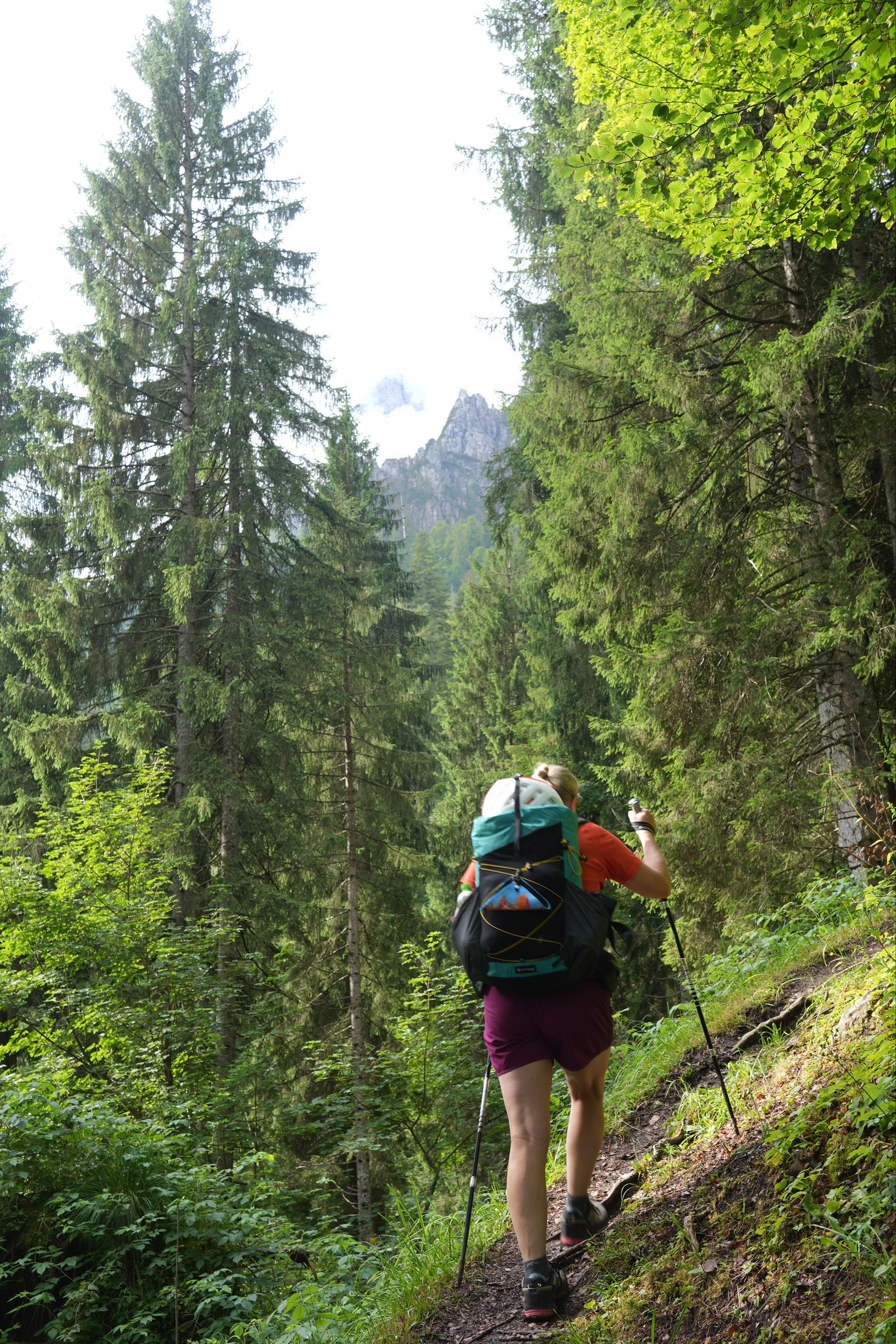 A hiker walk along a narrow path through a very green forest