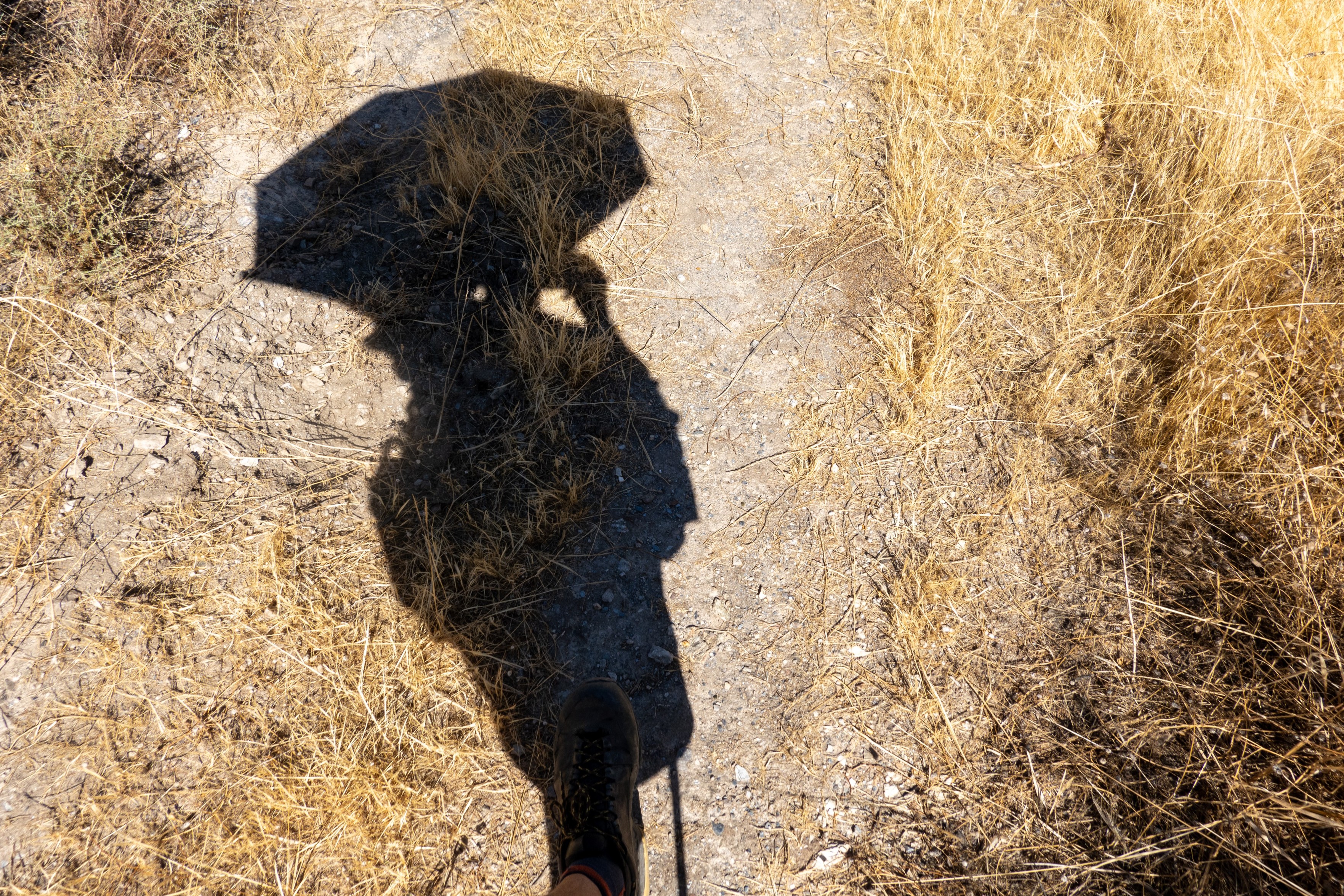 Shadow of a person walking with an umbrella in a dry and semi arid landscape