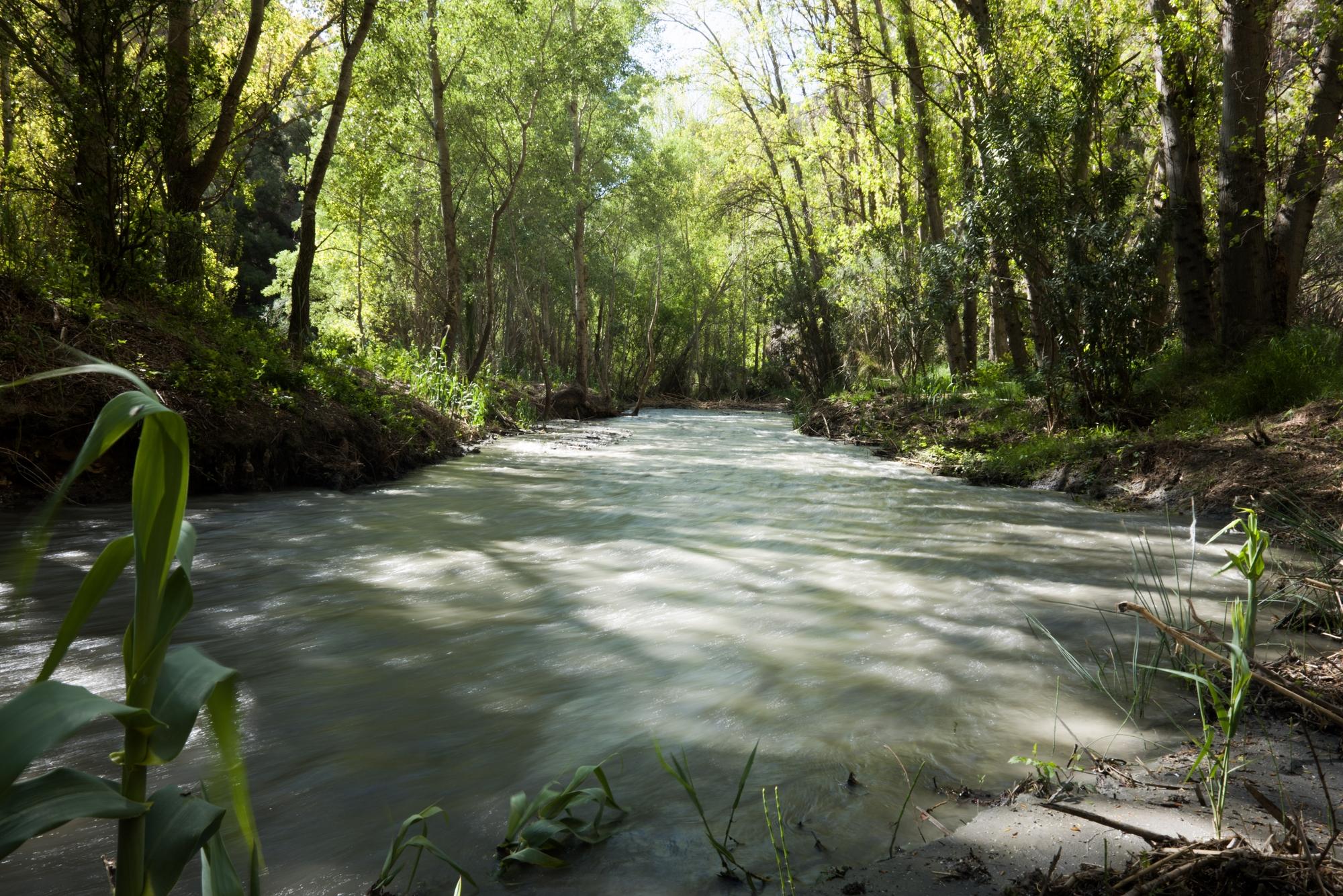 A peaceful riverside scene with the river heading off into the distance. The banks are full of green trees and shrubs. The light illuminates the river