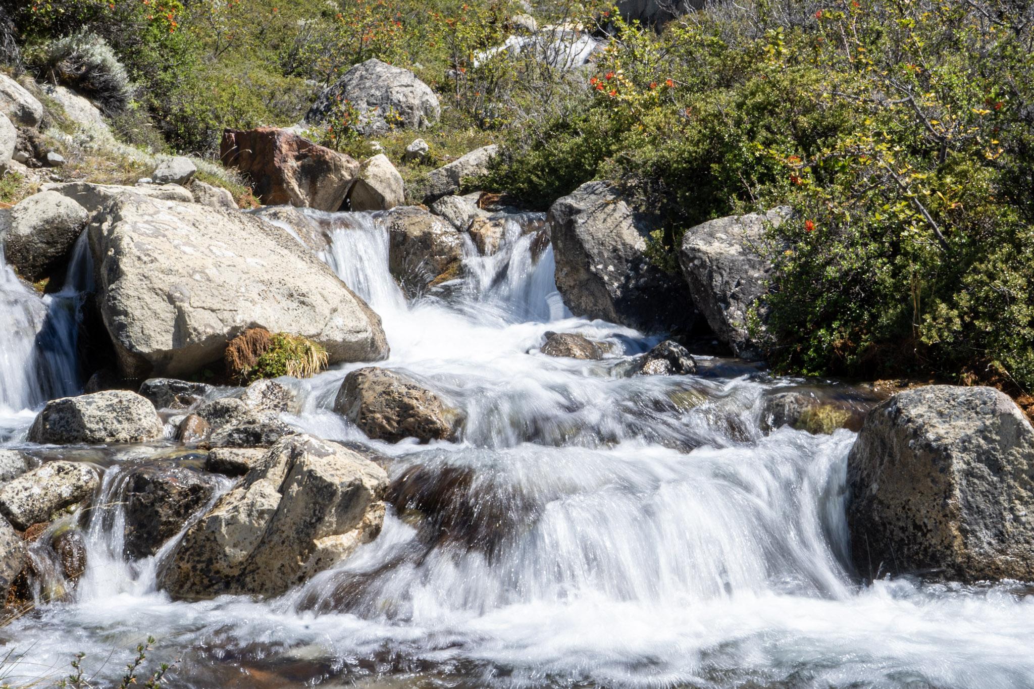A small waterfall cascading over rocks. Red berries on the bushes on the right