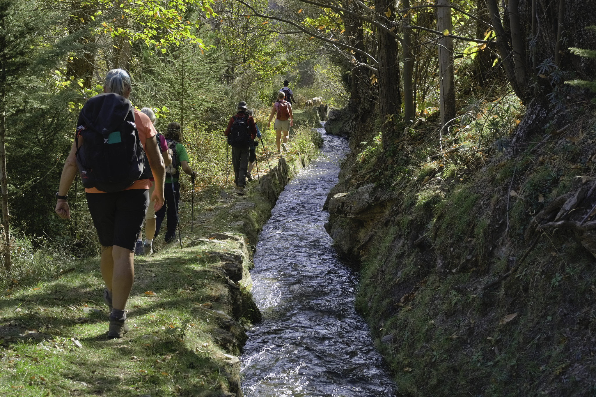 Hikers walk along a narrow trail with an irrigation channel flowing with water alongside. Lots of green shrub and trees to the left, rock walls to the right