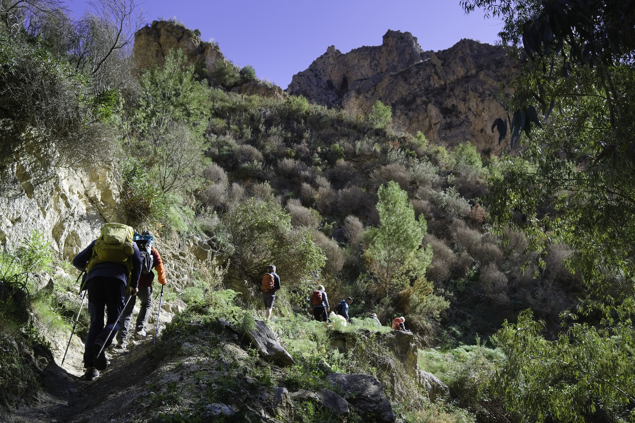 Hikers in the lower part of the image pass through green shrubbery. Above lies some steep yellowish rock cliffs and escarpments