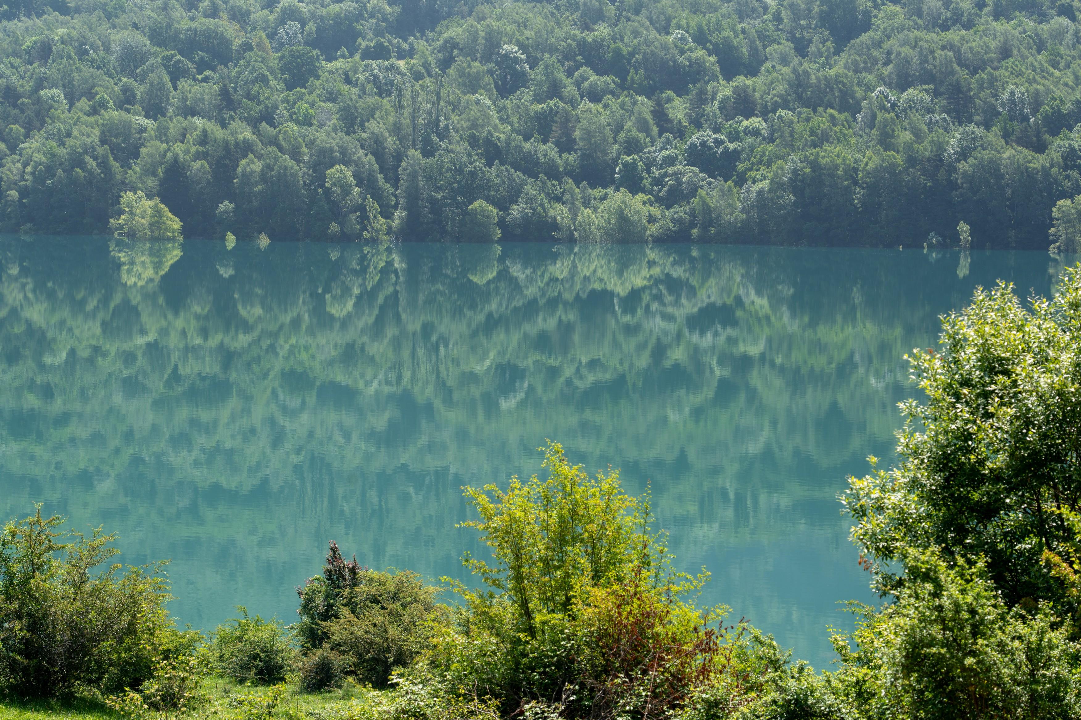 Reflection of trees in a tranquil turquoise lake