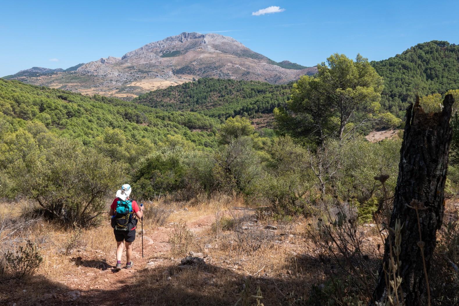 A person walks along a trail with mountains in the distance