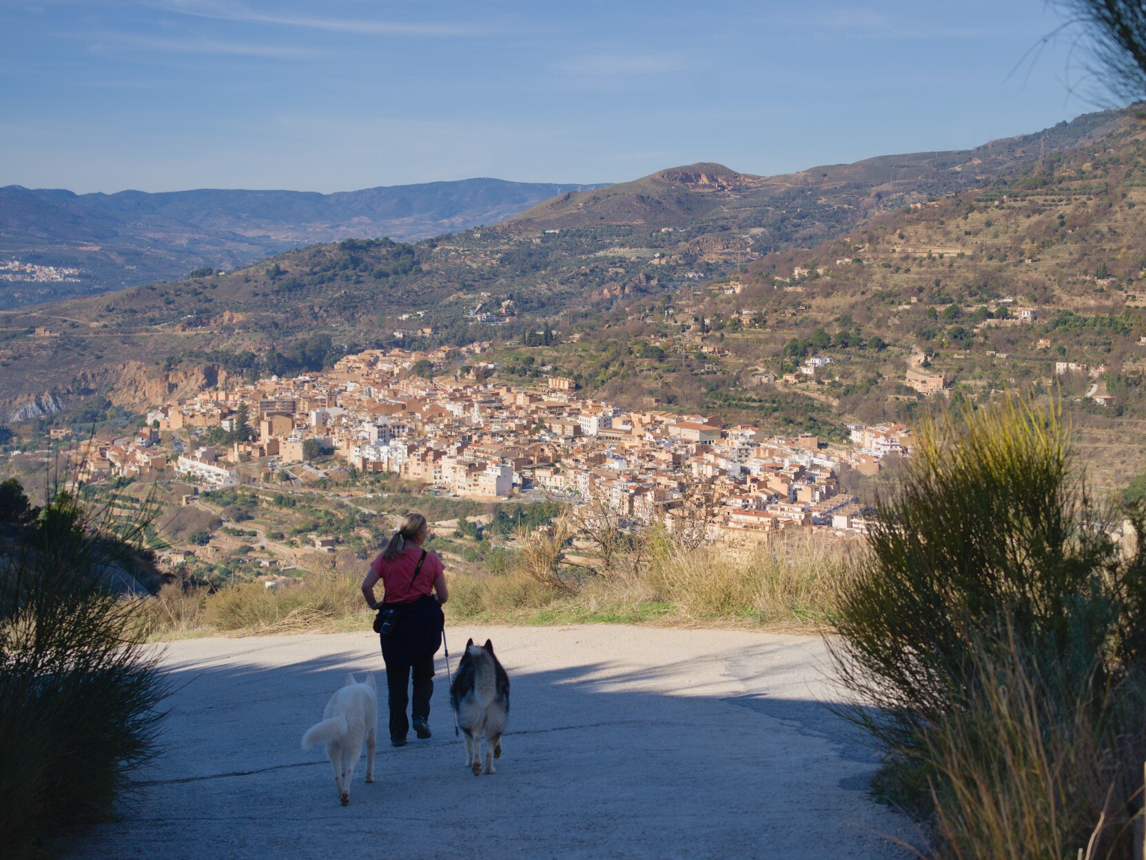 The town of Lanjaron near Granada, Spain, with dogs and human walking in foreground