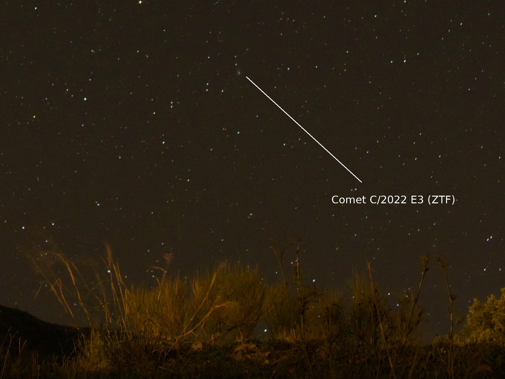 Night shot of Comet C/2022 E3 (ZTF) in the night sky
