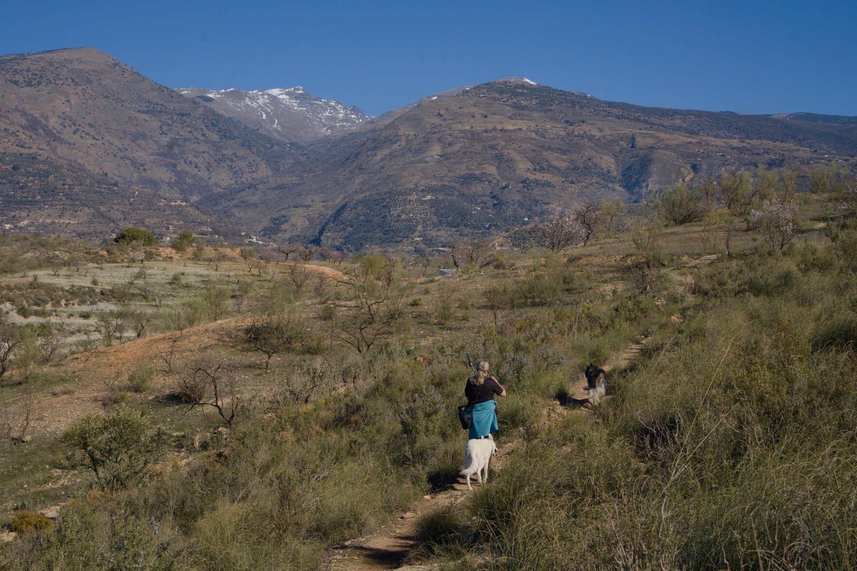 Hiking along a trail leading to some mountains with snow on the summits
