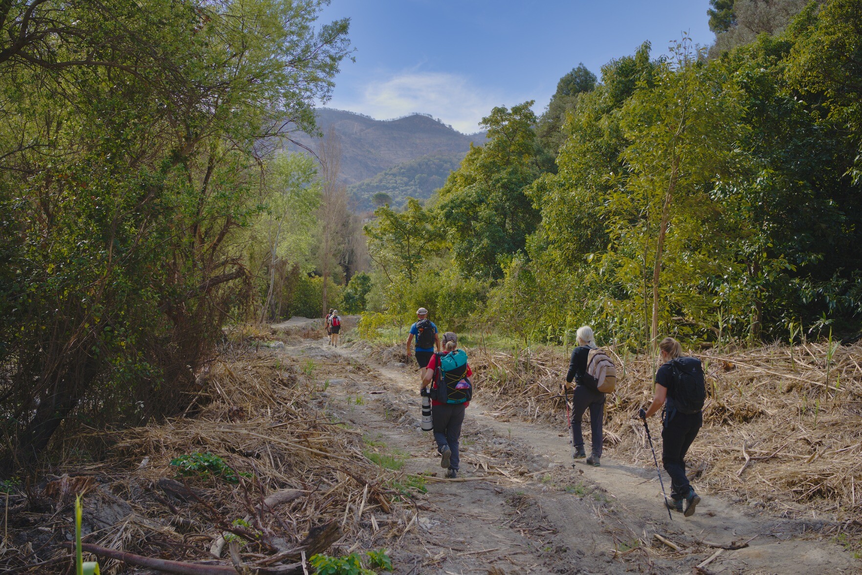 People walking along a wooded track
