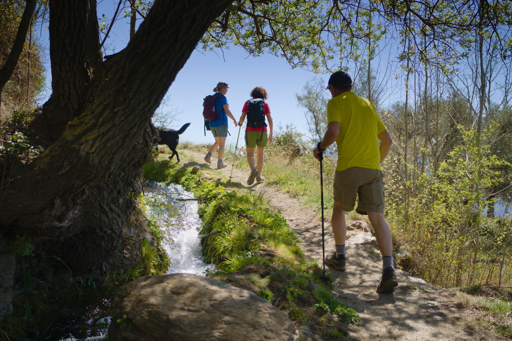 People hiking with dogs alongside an irrigation channel in southern Spain. Lots of greenery to the right and shadows to the left