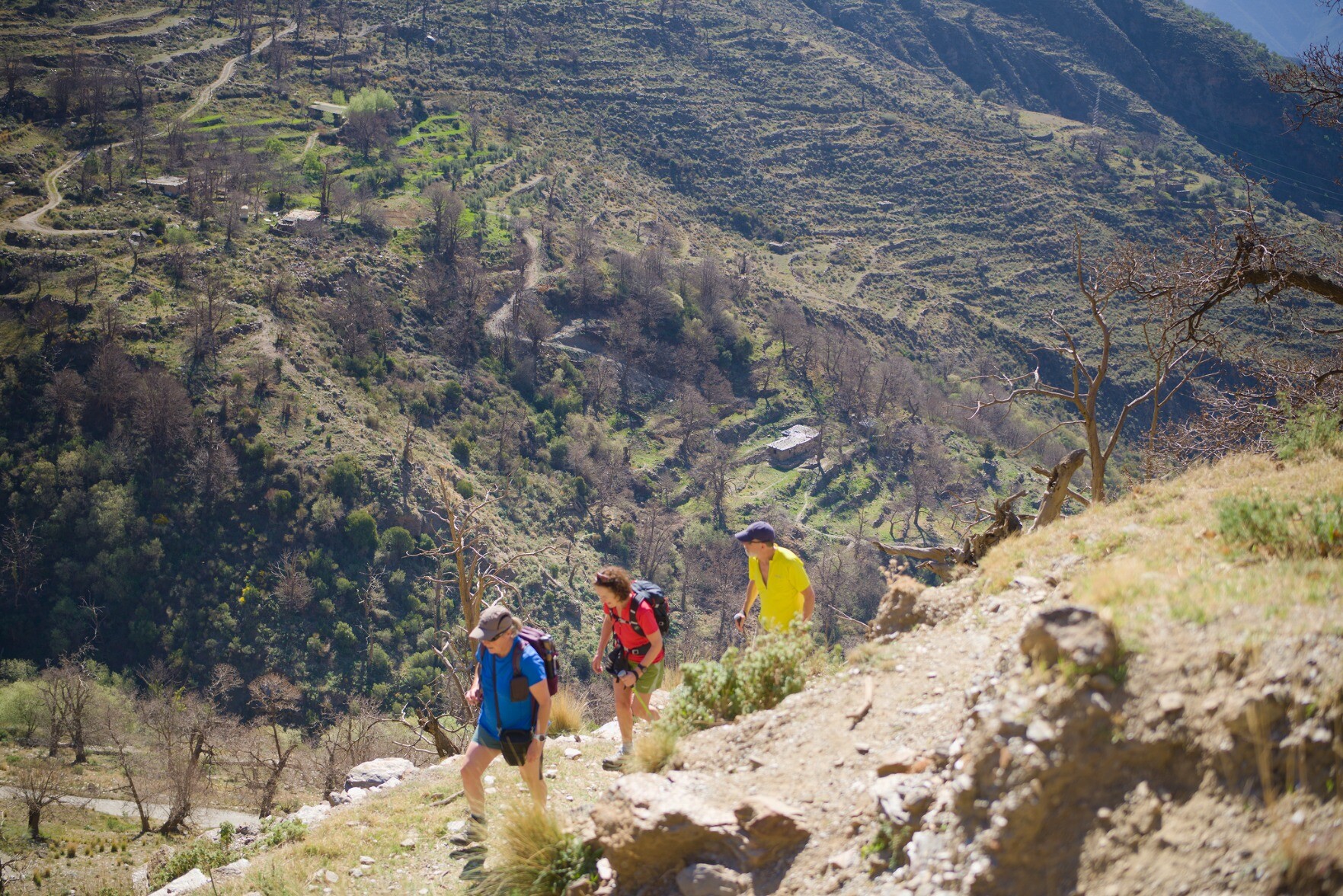 People hiking with a deep green valley below them
