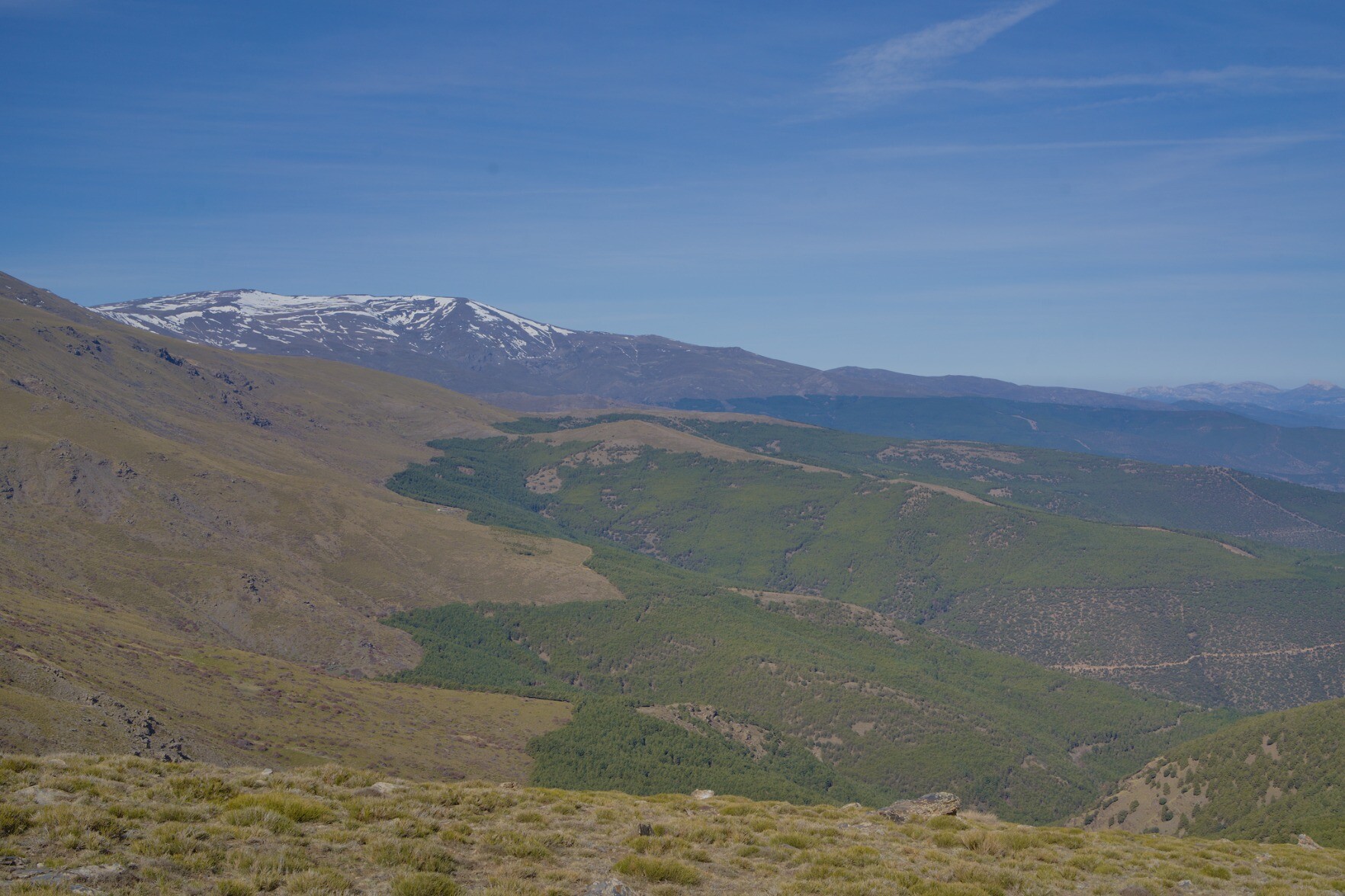 View across a mountain range to snow clad peak of Picon de Jerez. To the right lie vast pine forests