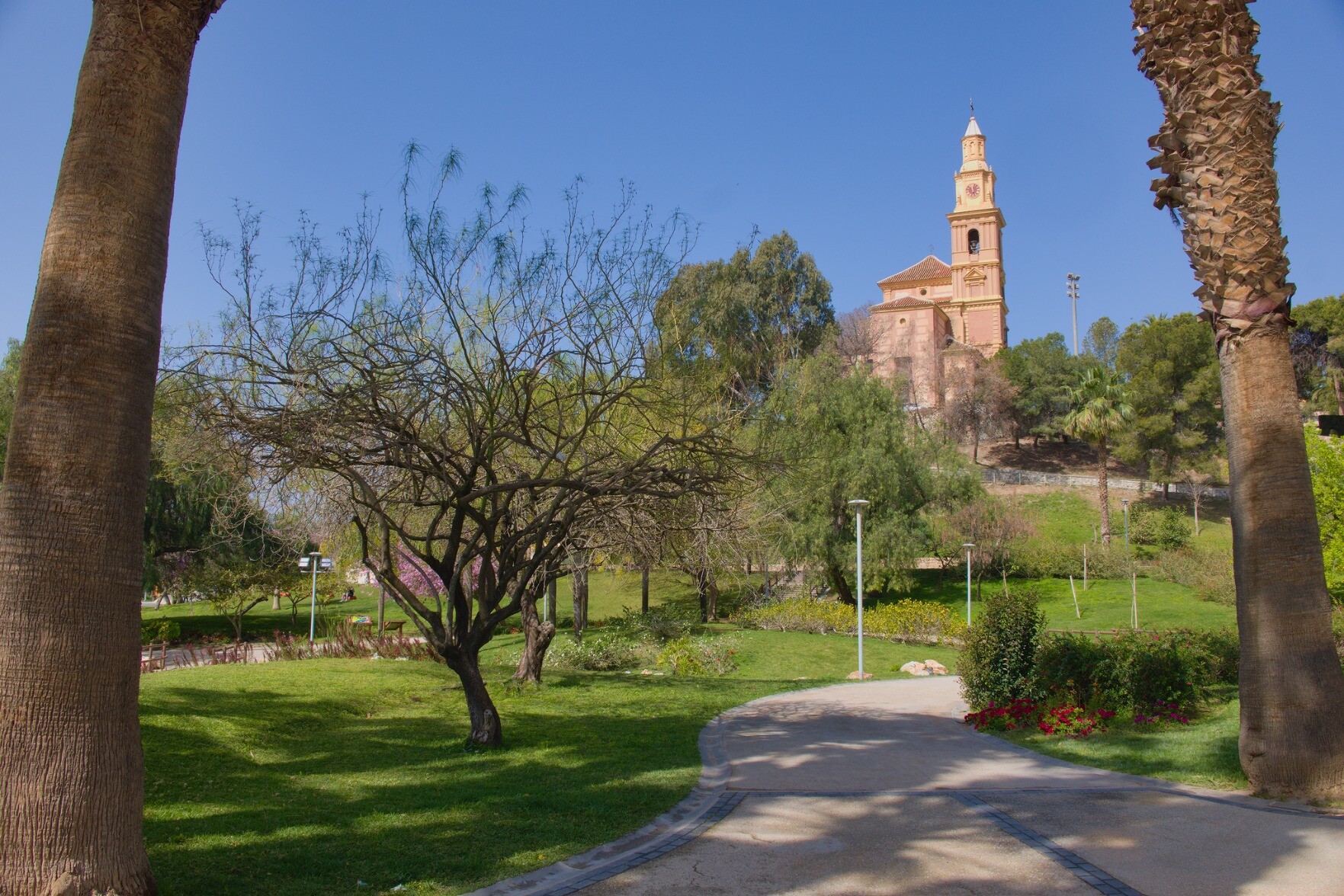 Green park with a church/cathedral at the back and framed by two palm trees