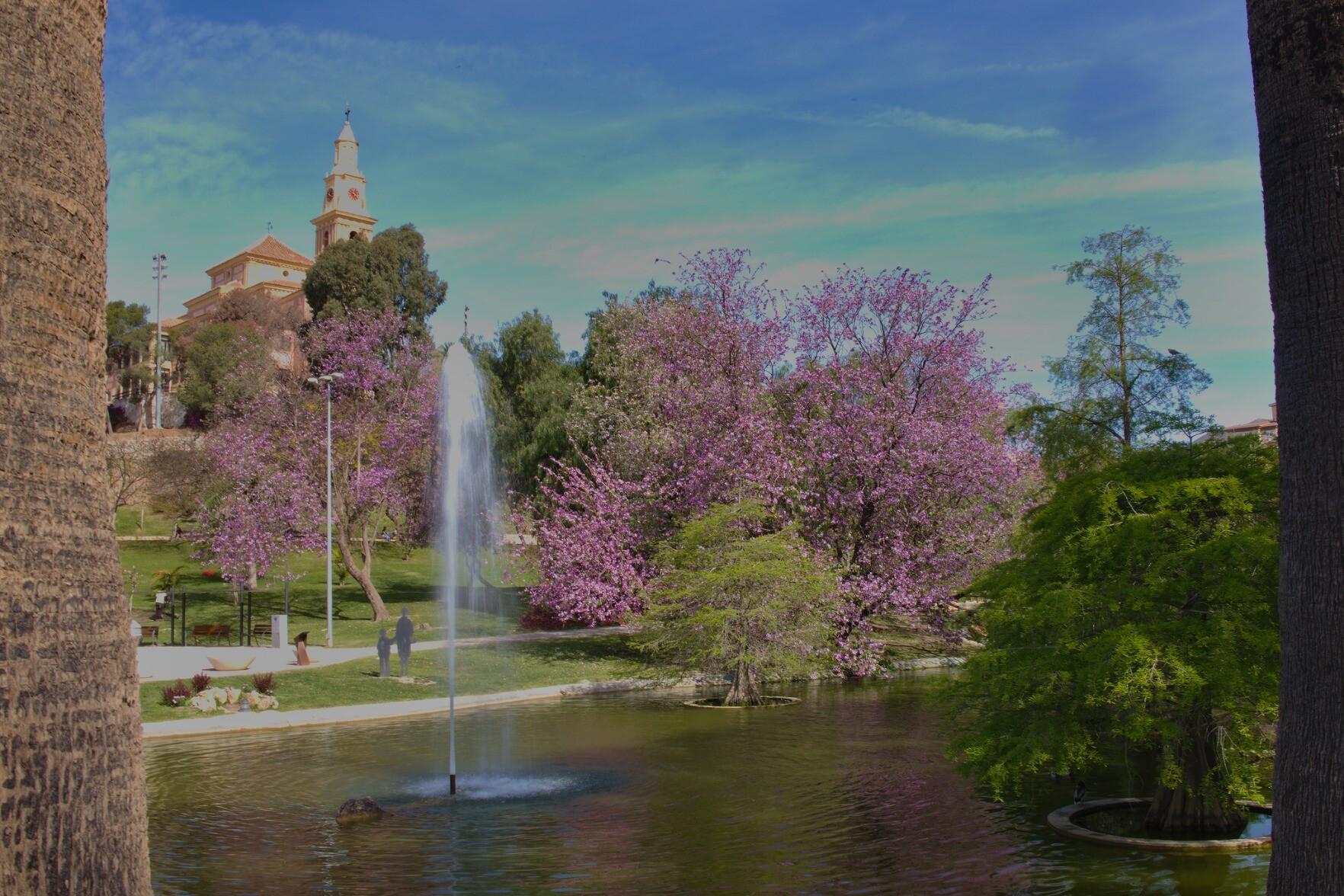 A water fountain leaps up from a small lake in a city park. There is lots of green plants and pink blossoms with a large church at the rear. Bright blue skies