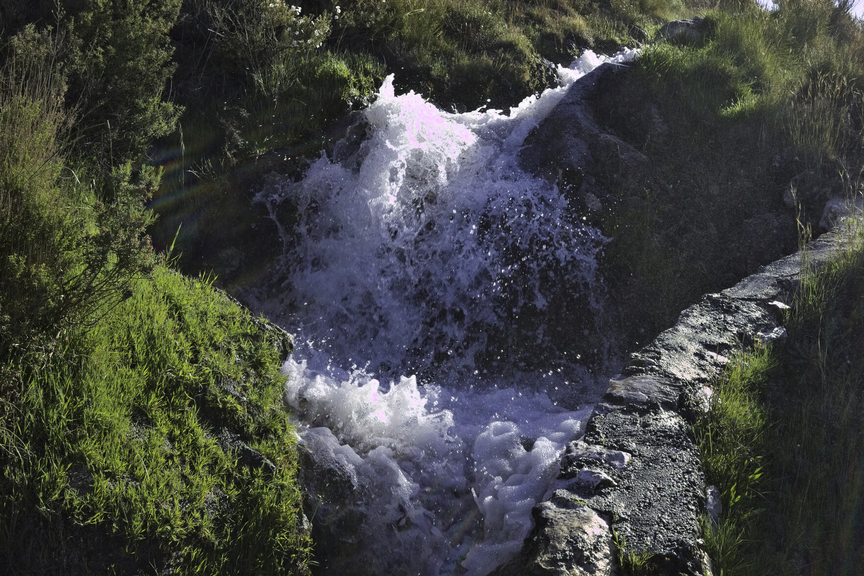 Water comes gushing down an irrigation channel. There is a wall to the right and bright green shrub to the left. Some small rainbows are captured by the light and the water
