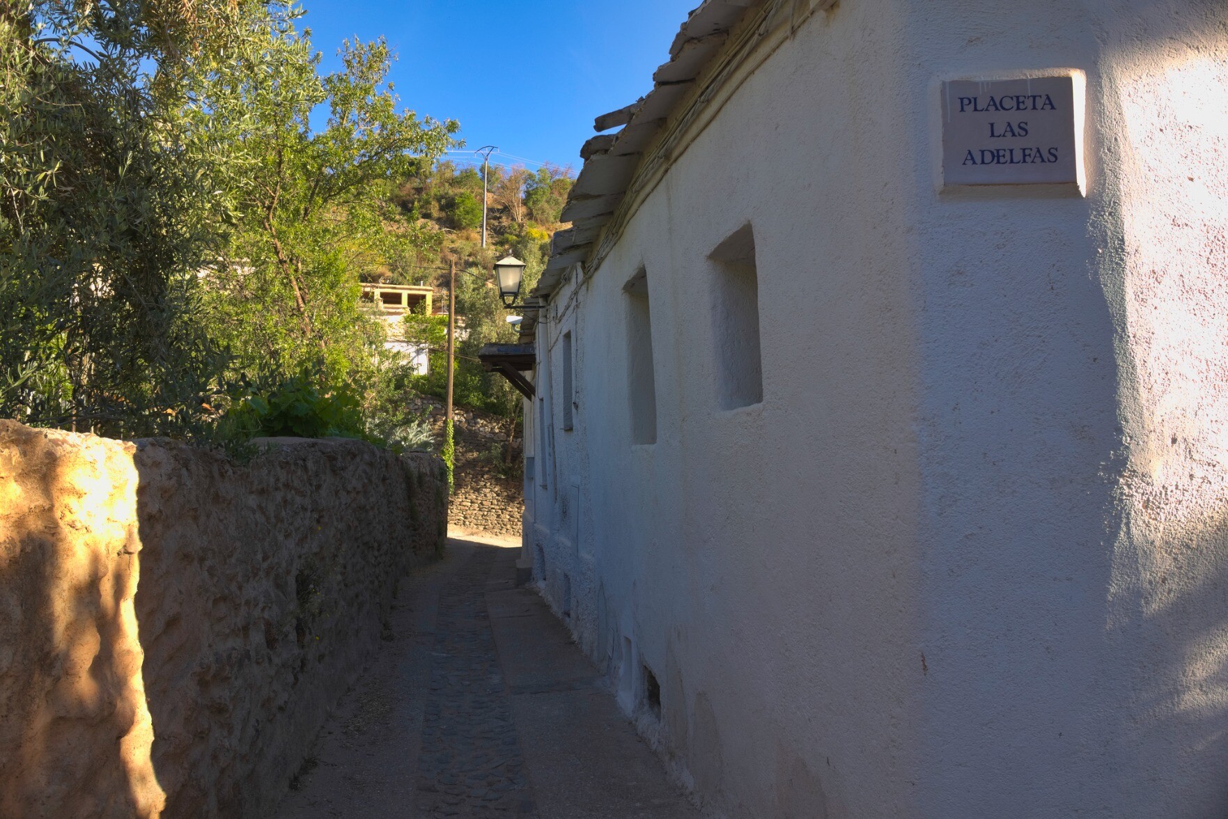 A narrow street with a narrow building to the right and lush green foliage to the left and ahead