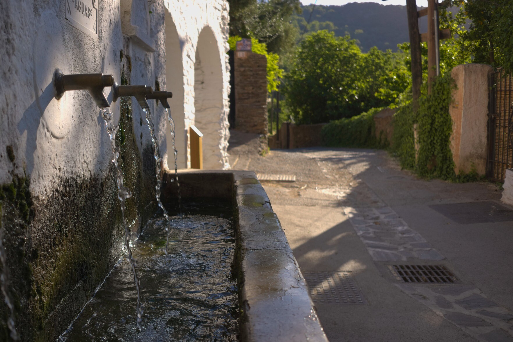 Three water taps from mountain springs emit water into a trough. To the right there is a road illuminated in the morning sun