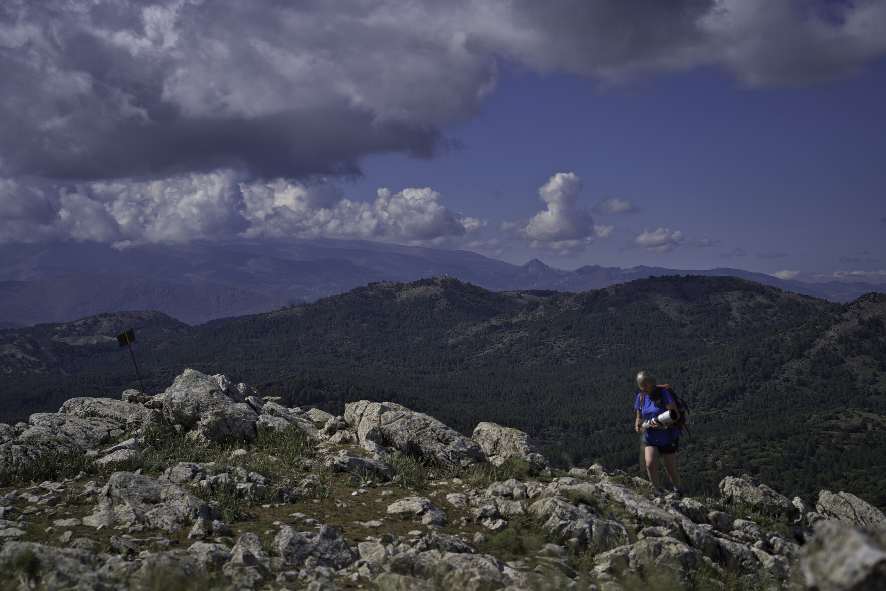 A person approaches the summit of a mountain. Forests stretch into the background to a white fire lookout on a hilltop