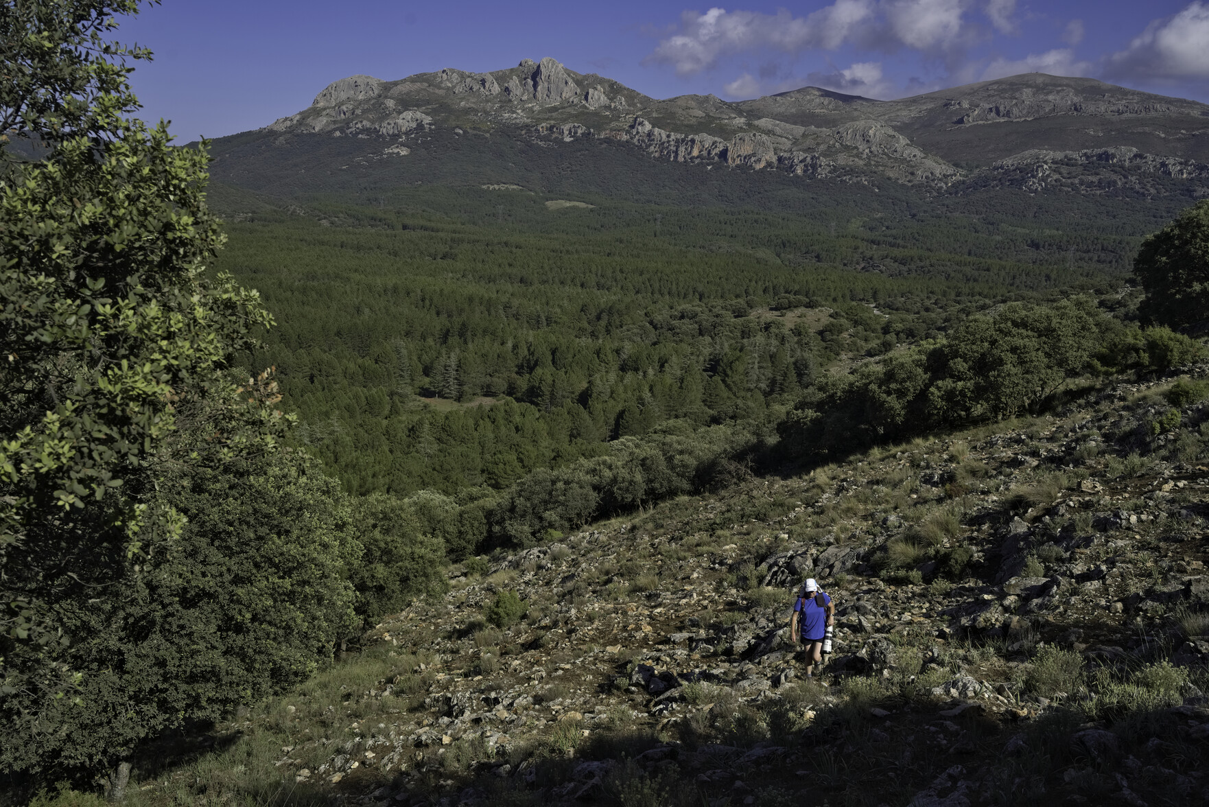 A hiker ascends stony ground in the bottom right. Forests stretch back to some distant rocky mountain summits