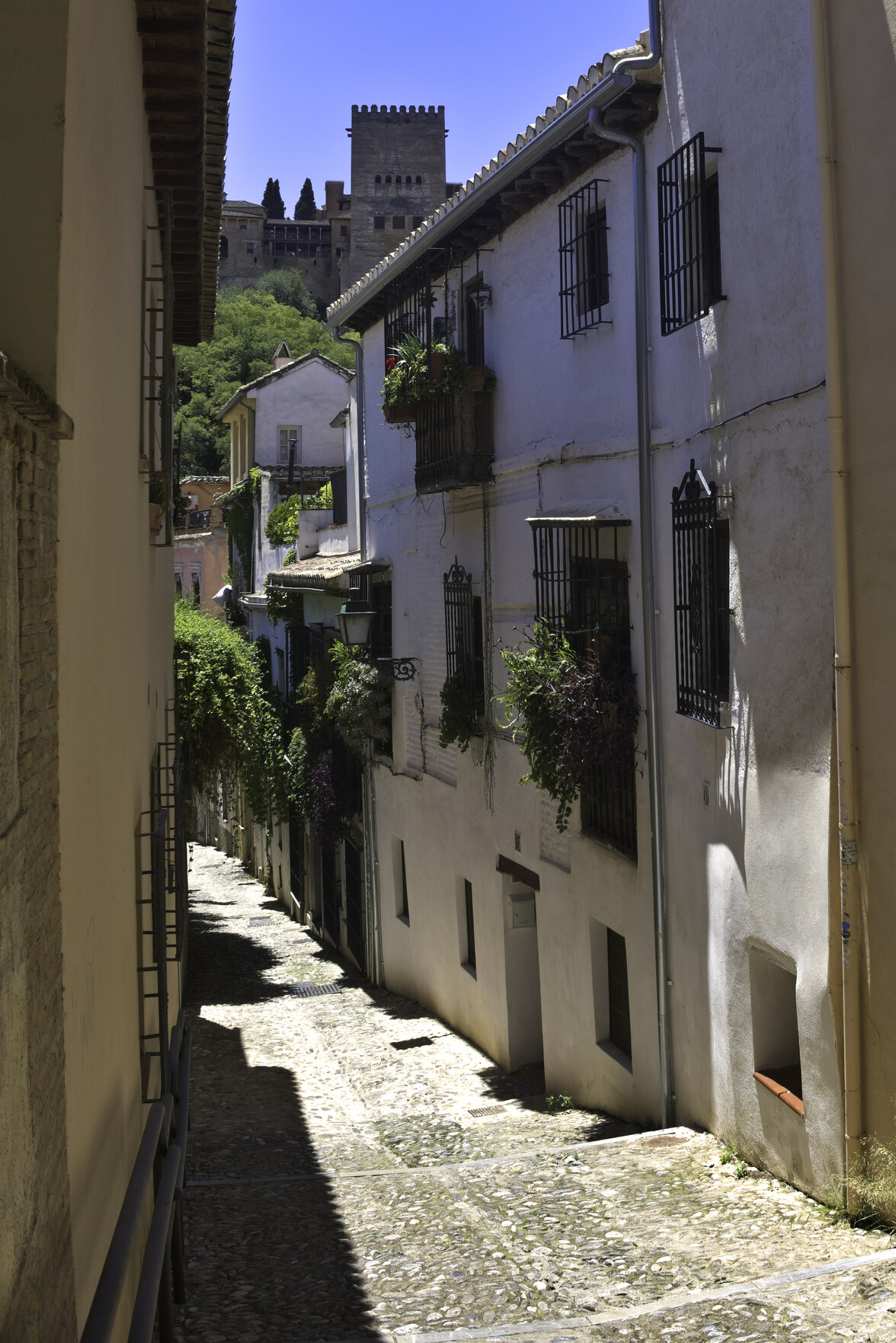 A narrow street scene with sun and shady areas dominating. To the rear rises the turrets of the Alhambra Palace fortress