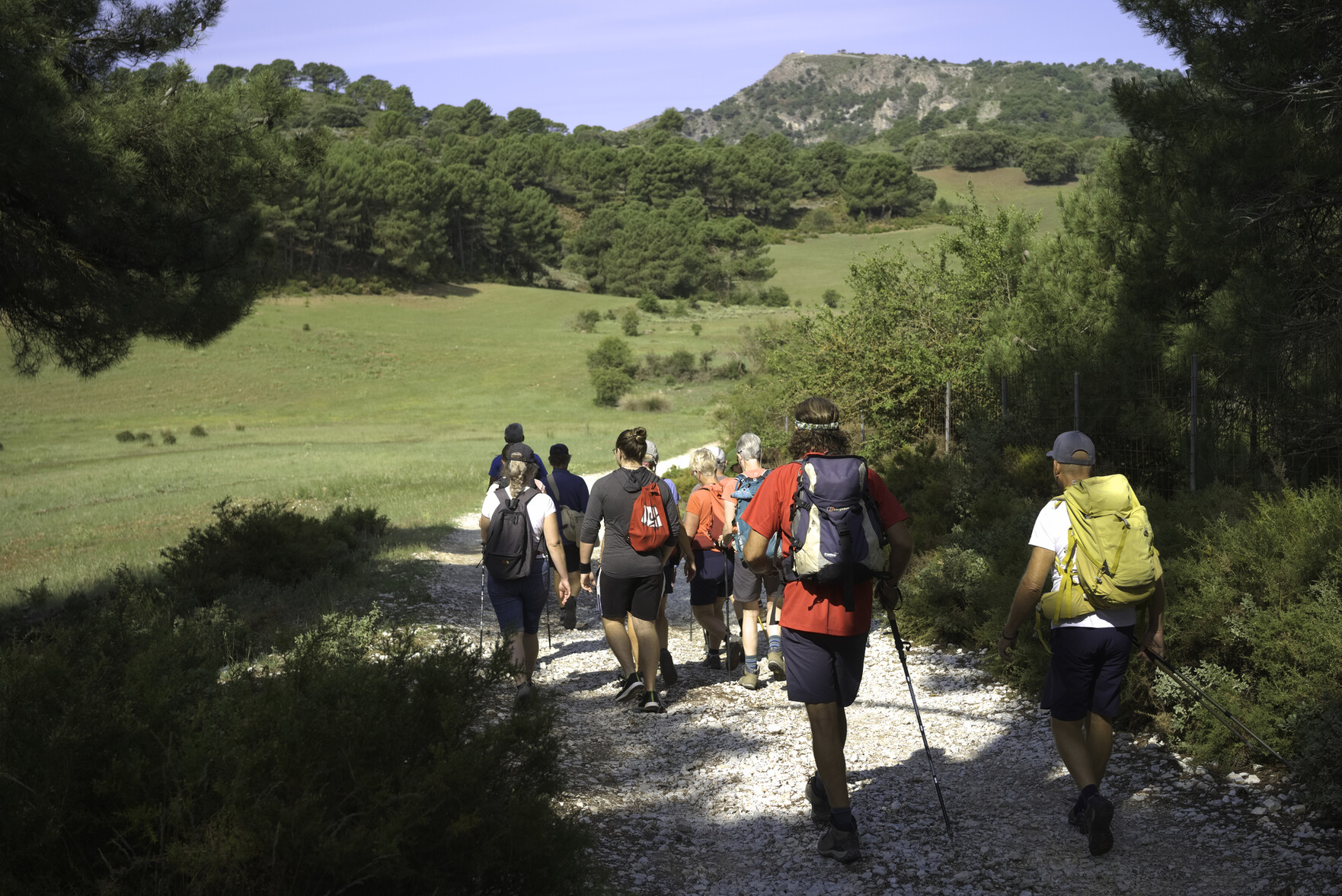 A group of hikers walk along a wide dirt track. Above is a small peak, their objective. Green field are in the middle distance