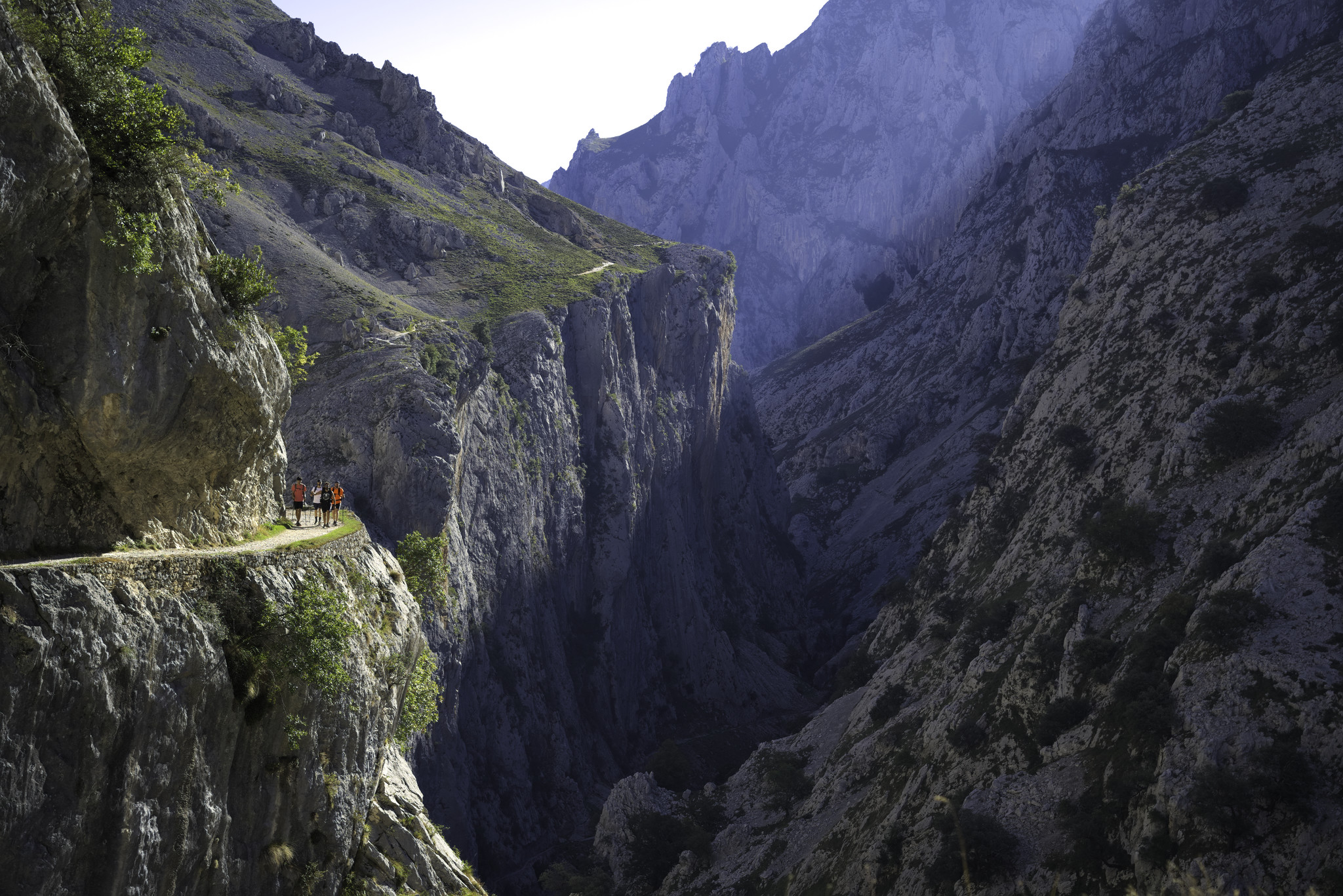 Some hikers pass along a narrow path on the left above a gorge in shadow. There is green shrub highlighted in the sun. To the back the gorge receives the suns rays