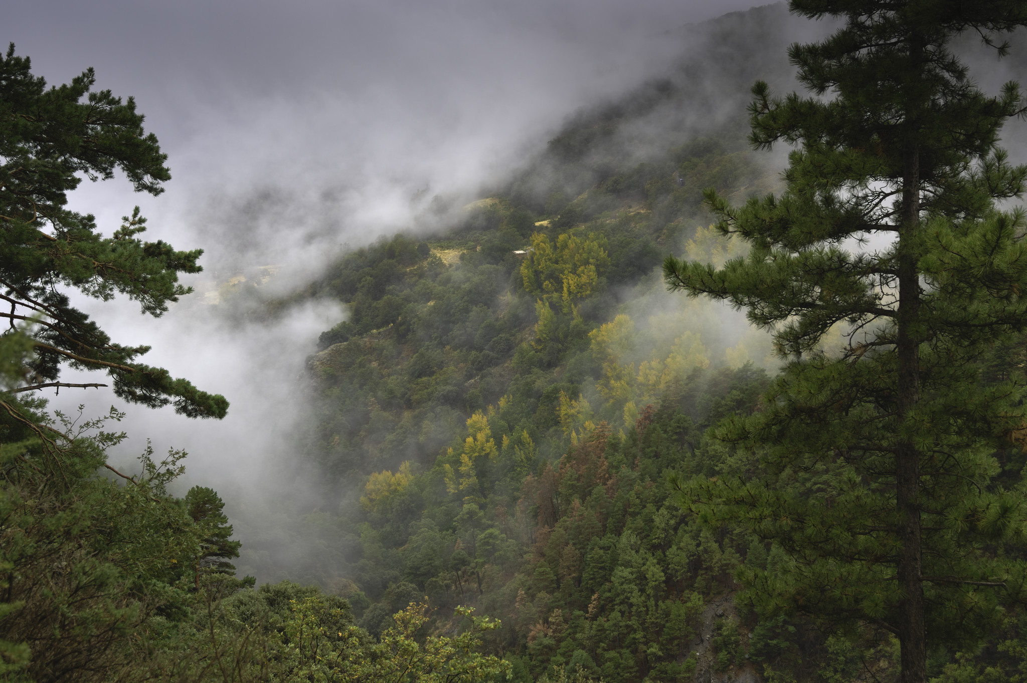 Clouds clearing to reveal some multi colored autumnal trees