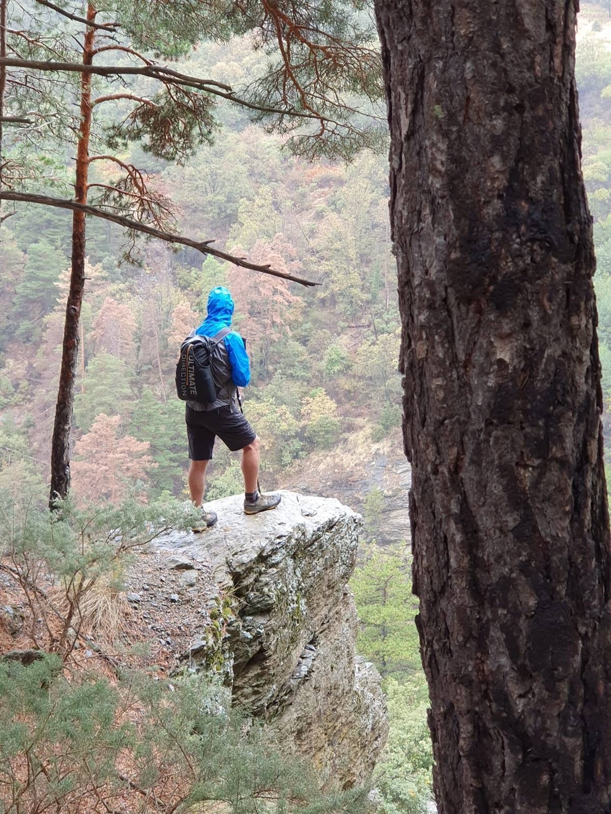 A man with a bright blue jacket stands on a sharp outcrop of rock in the rain. Behind is a lush autumnal forest