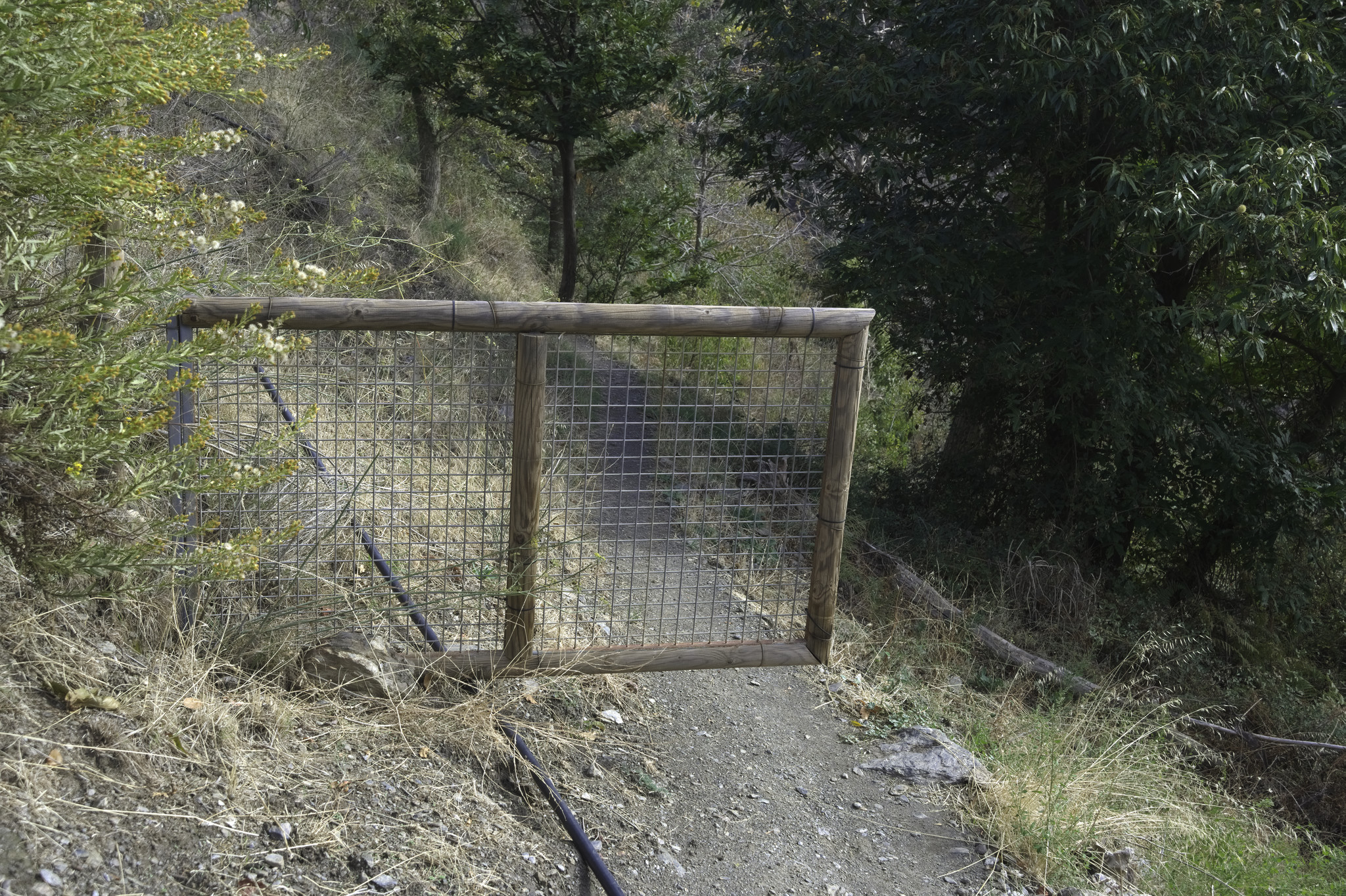 A gate without a supporting post stand half way across a hiking track and does no job whatsoever!