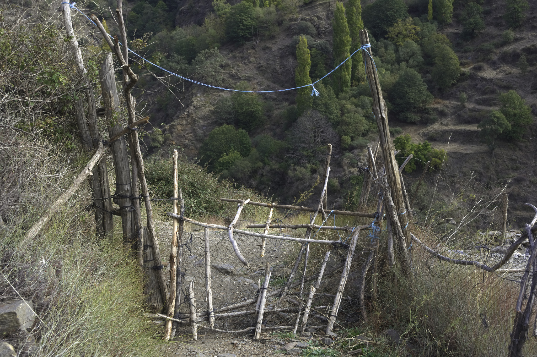 A gate crosses a hiking track. The gate is made with old bits of wood, branches and wire.