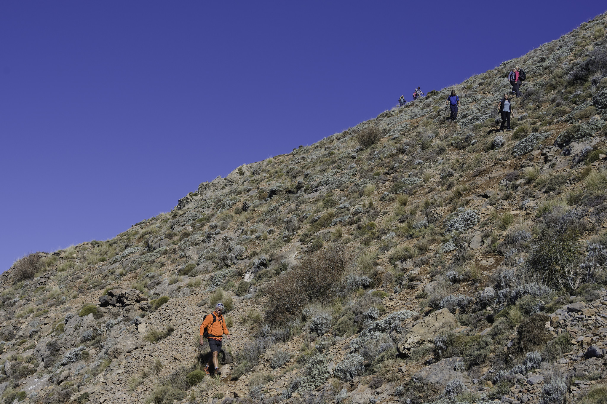Steep loose slopes of shrub and stones whilst descending Alto de Miguelejos 