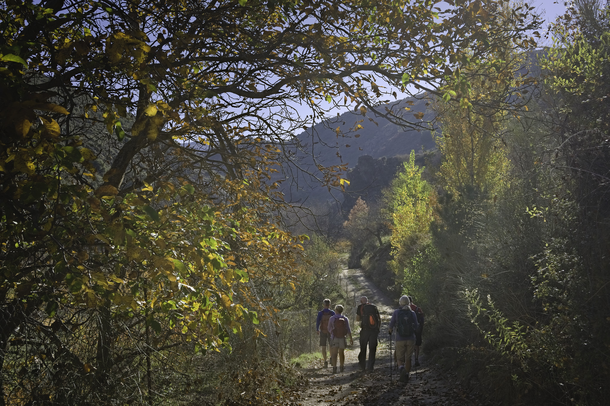 A small group of hikers walks along a dirt track surrounded by the colours of autumn trees. Some mountains in the background