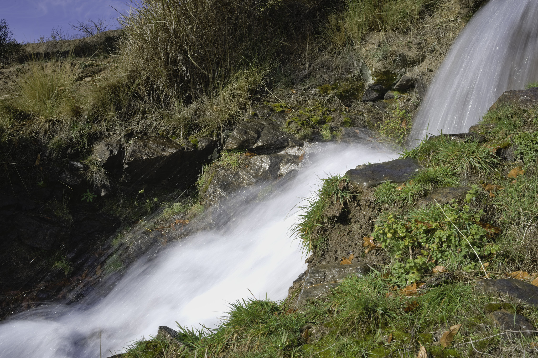 White water gushes down an irrigation channel in the spanish mountains. Small green plants line the bottom of the stream