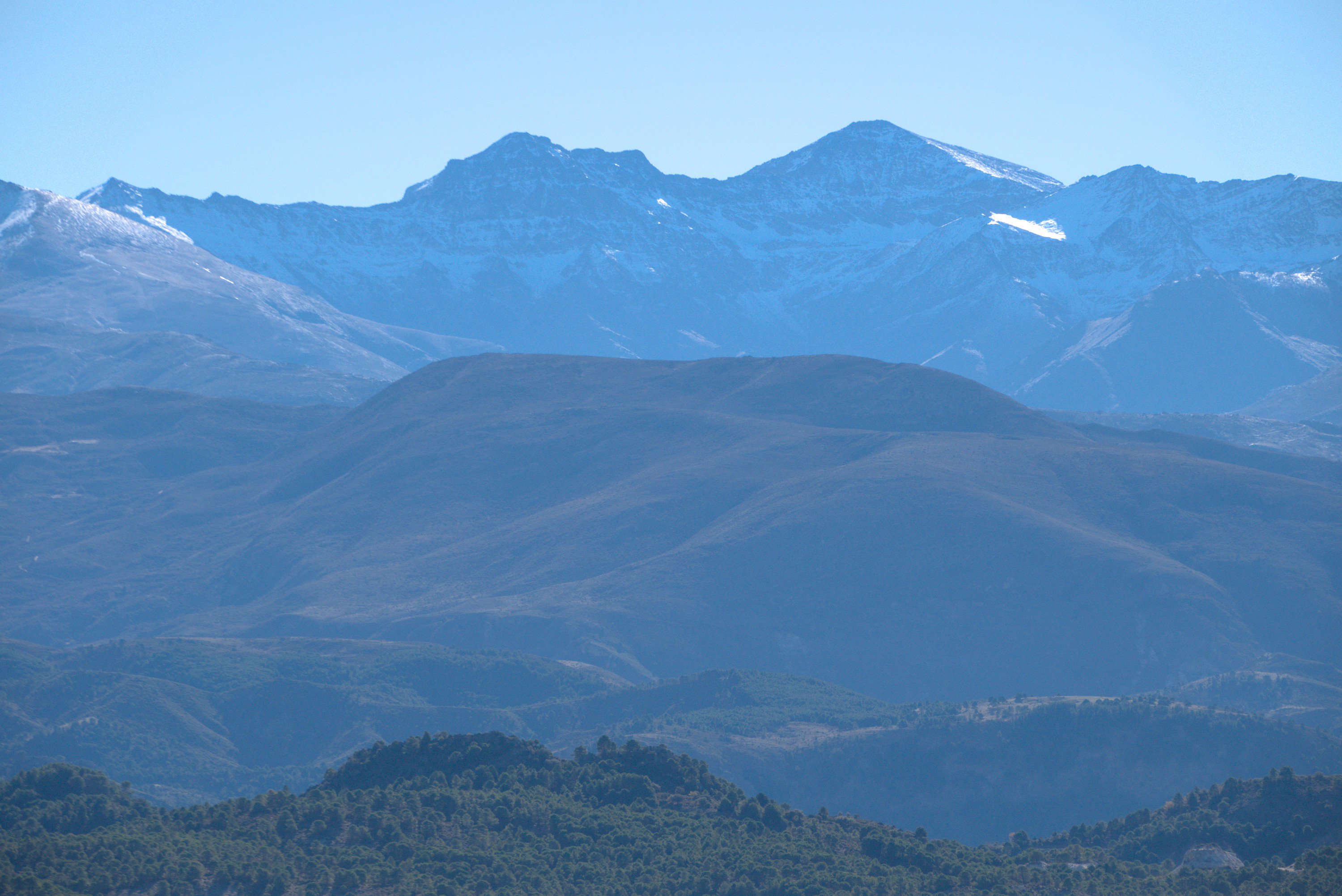 Northern faces of Alcazaba and Mulhacen in the shade. In the middle ground are open hillsides and at the bottom of the image are pine forests