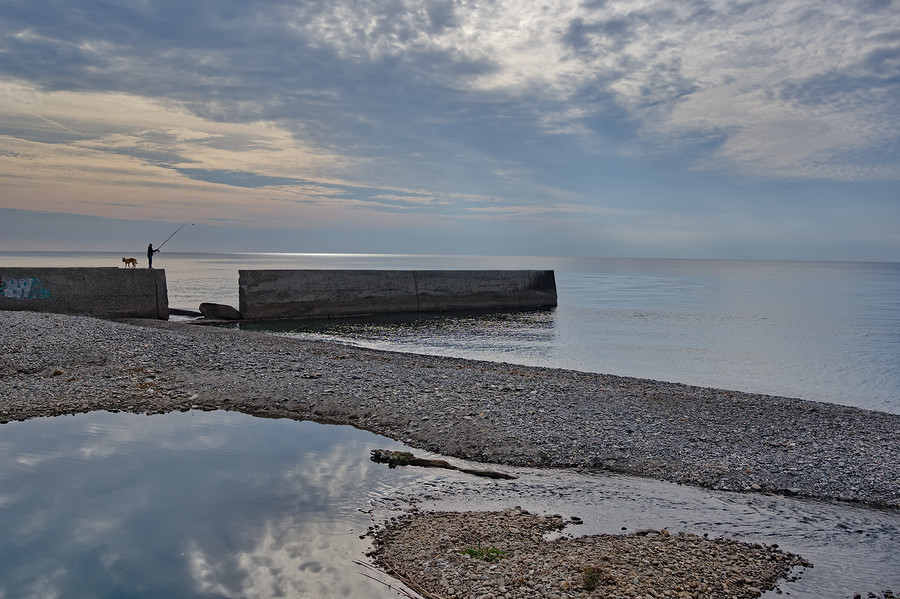 A dog stands next to a man with fishing rod on a pier next to the sea. Clouds reflect in a inshore pool of water