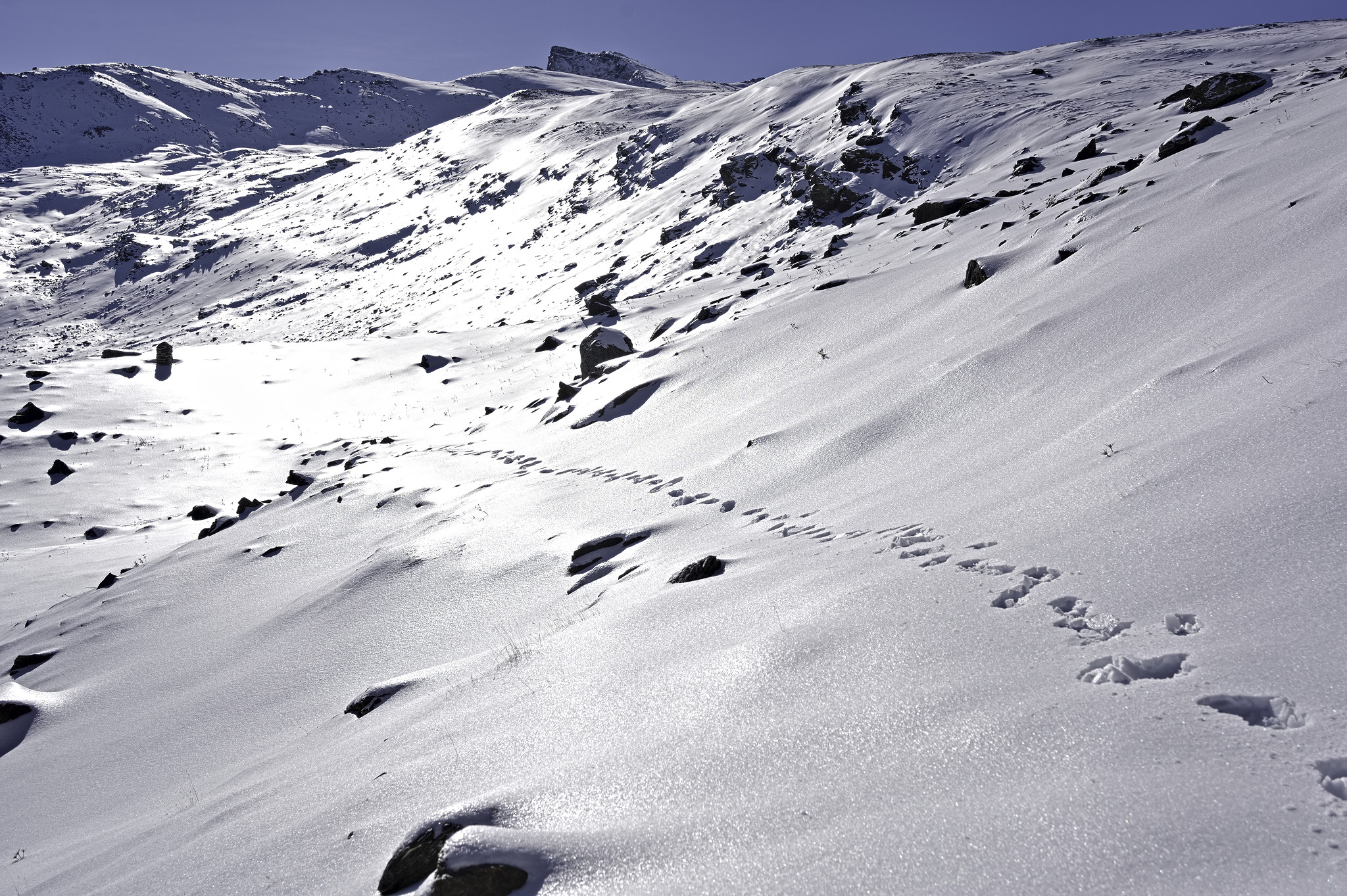 Tracks in the snow on the right lead up to a mountain summit