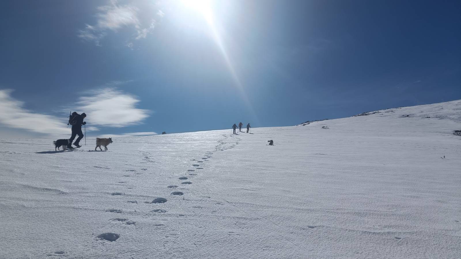 A person in snowshoes with two dogs walks across a snow slope. There are three people up ahead in the distance. The sun shines out of a blue sky with a few clouds