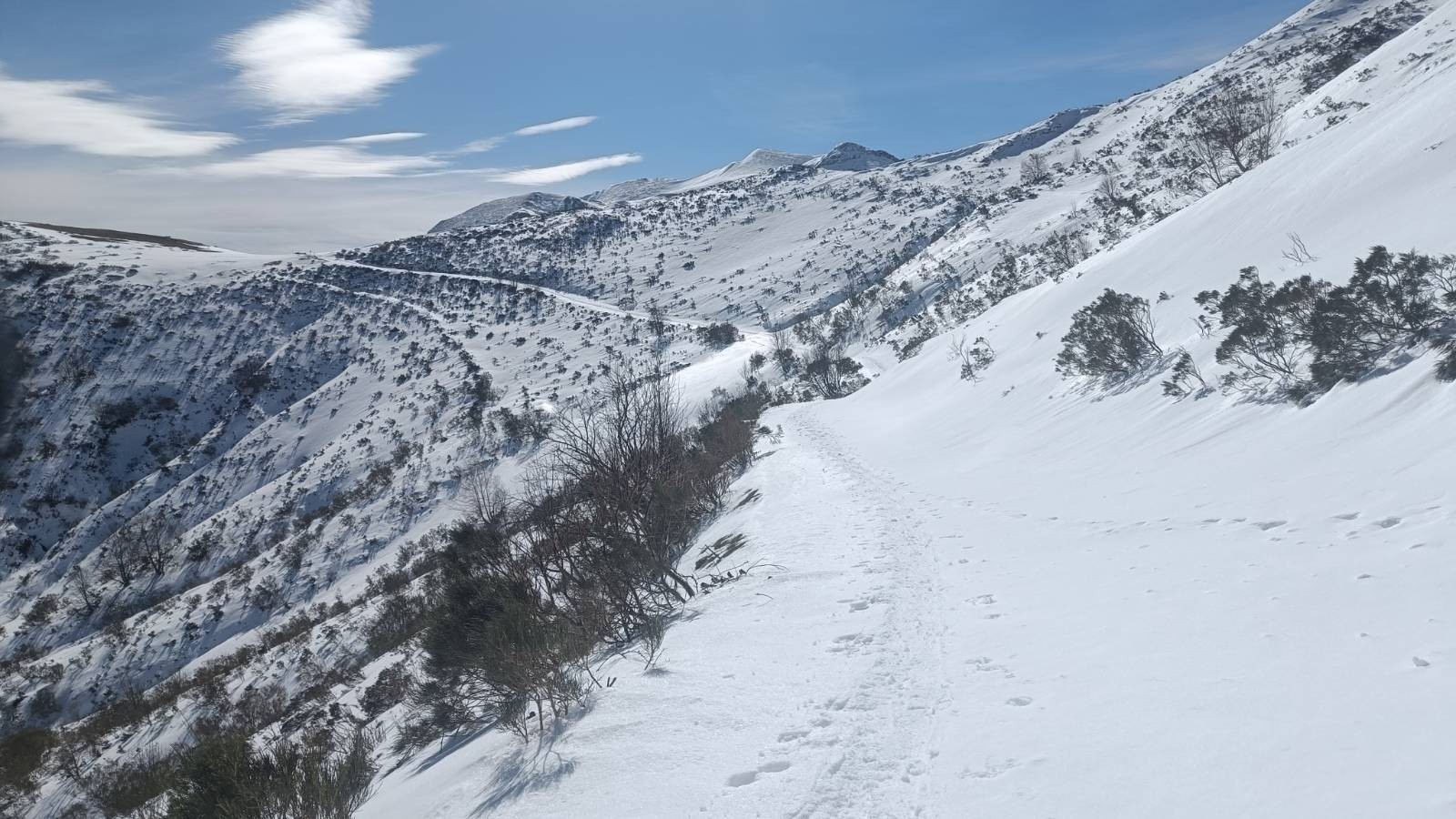 A snowy trail leads off into the distance with a few shrubs either side if the trail