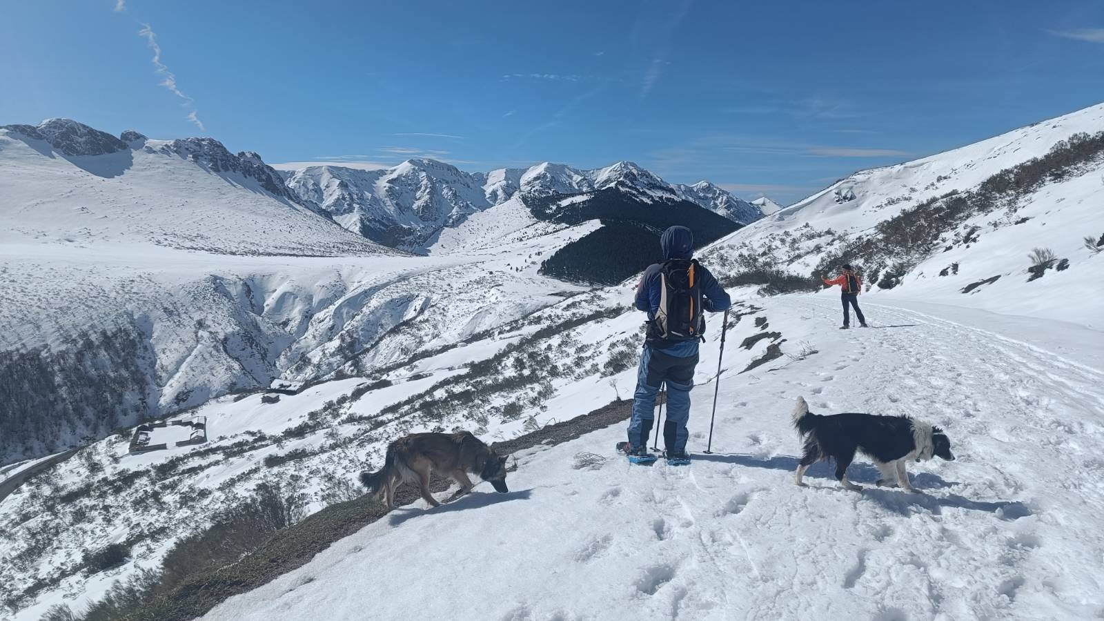 A person in blue with two dogs enjoys a snowy trail. Ahead lie a range of mountains covered in snow and ice. Blue sky above