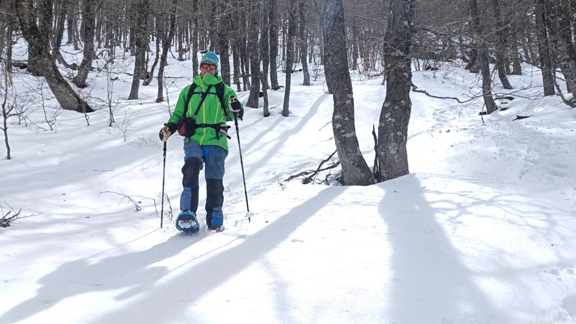A person in green jacket (me!) Cones down through a snowy forest in snowshoes