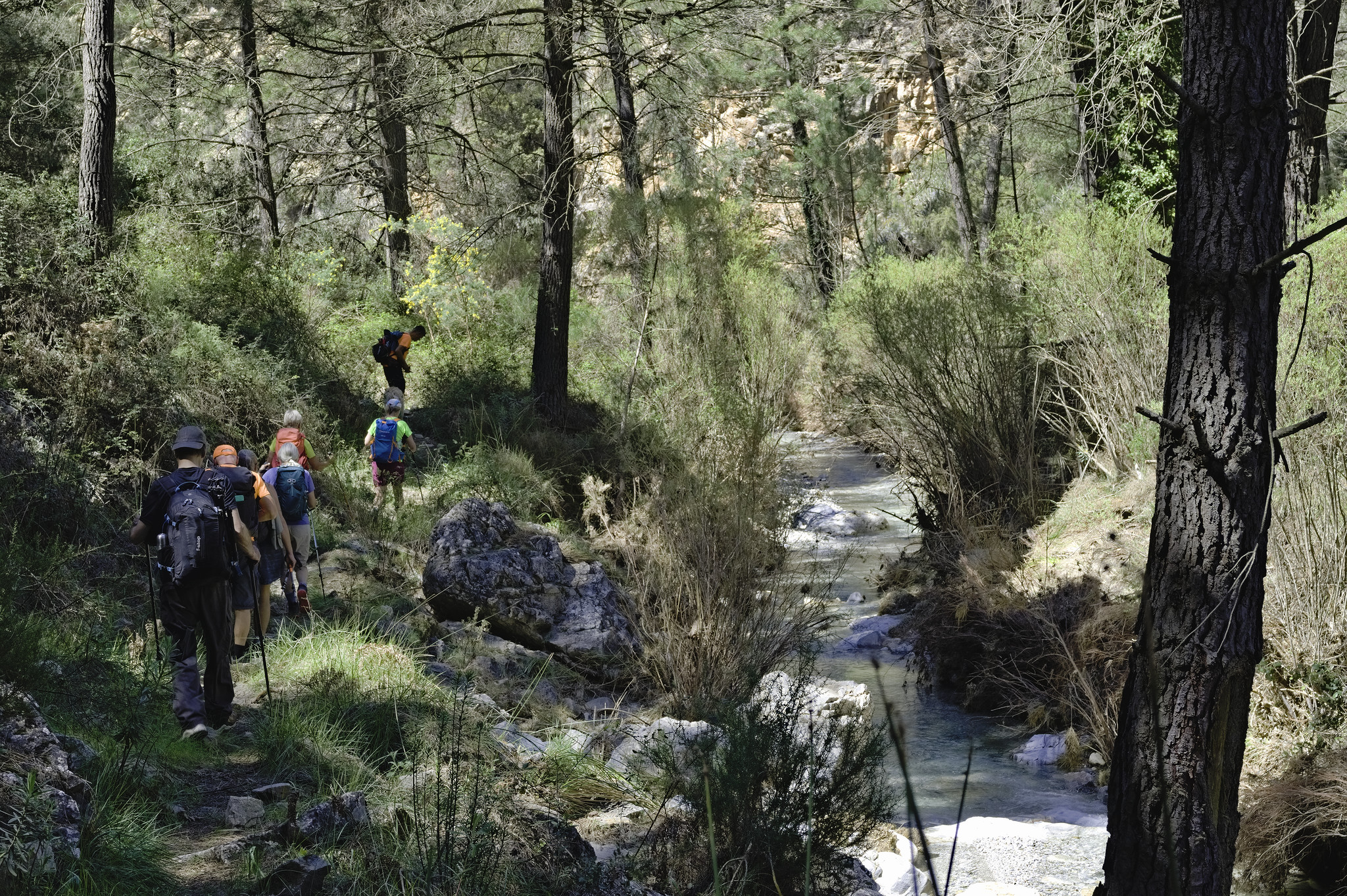 A group of hikers walk along a faint track on the left hand side of a small river. The area is covered in green trees and shrub