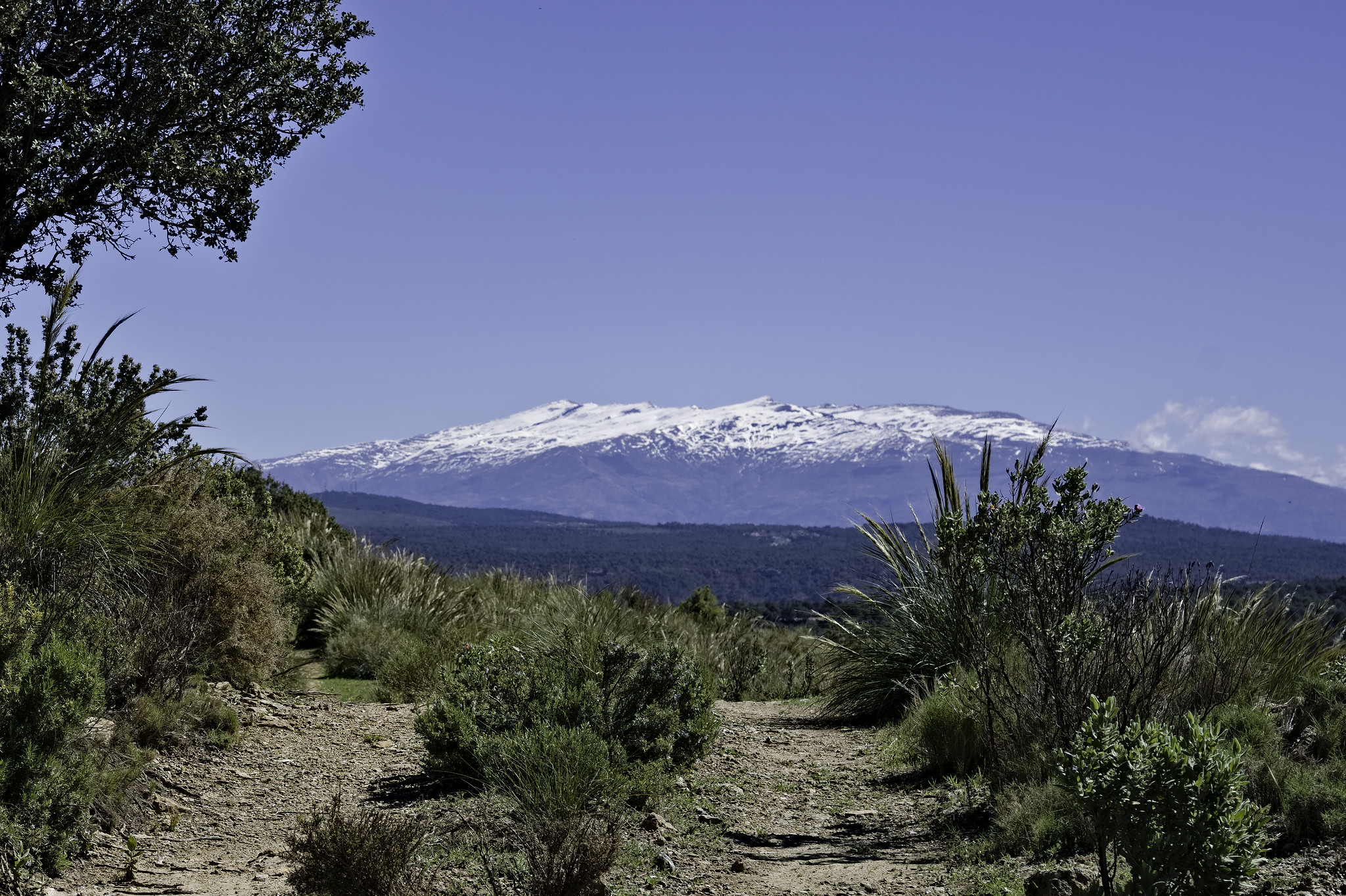 A track leads off into the distance with some snow covered mountains beyond