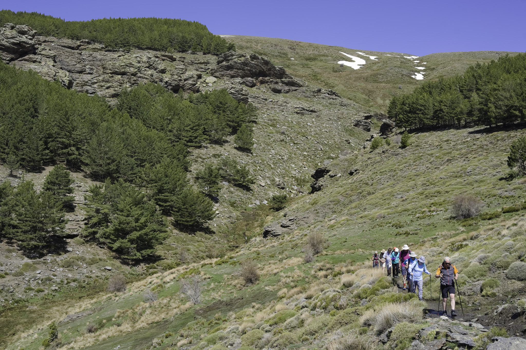 A group of hikers in the bottom right walk along a trail. Behind a steep green valley surrounded by trees with some patches of snow above.