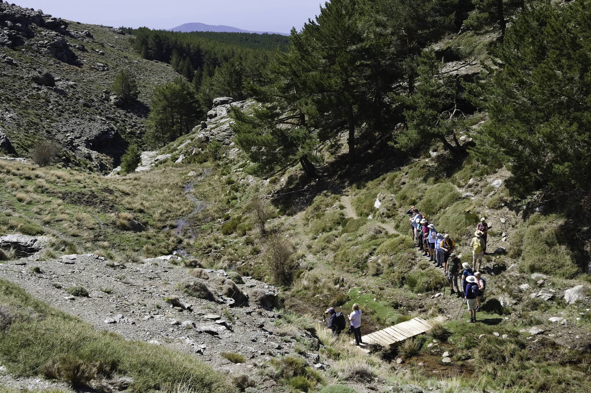 Hikers are crossing a wooden bridge in a valley bottom