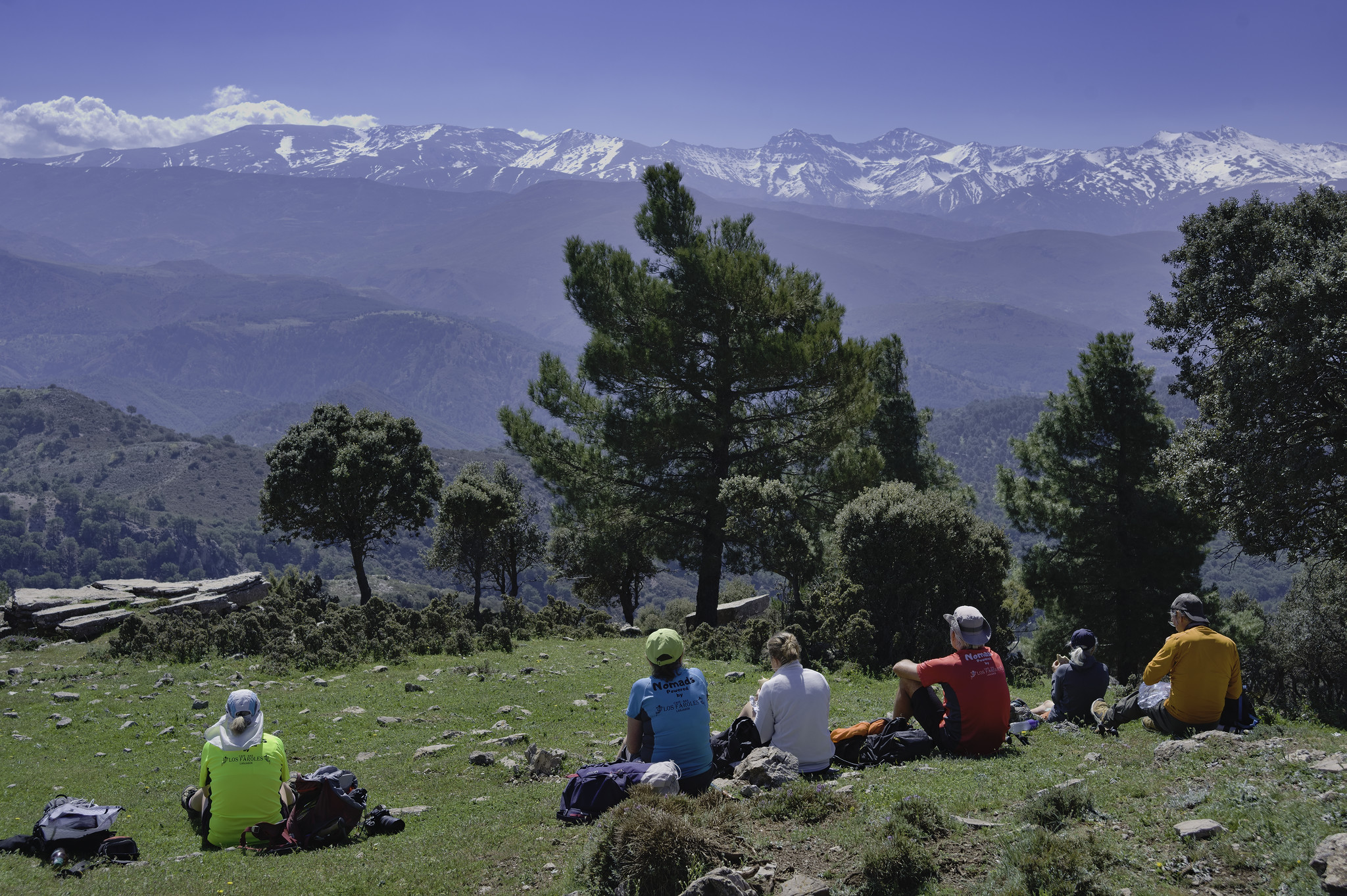 A small group of hikers sit in the sunshine on a grassy meadow. Some trees are behind them and in the distance some high snow covered mountains