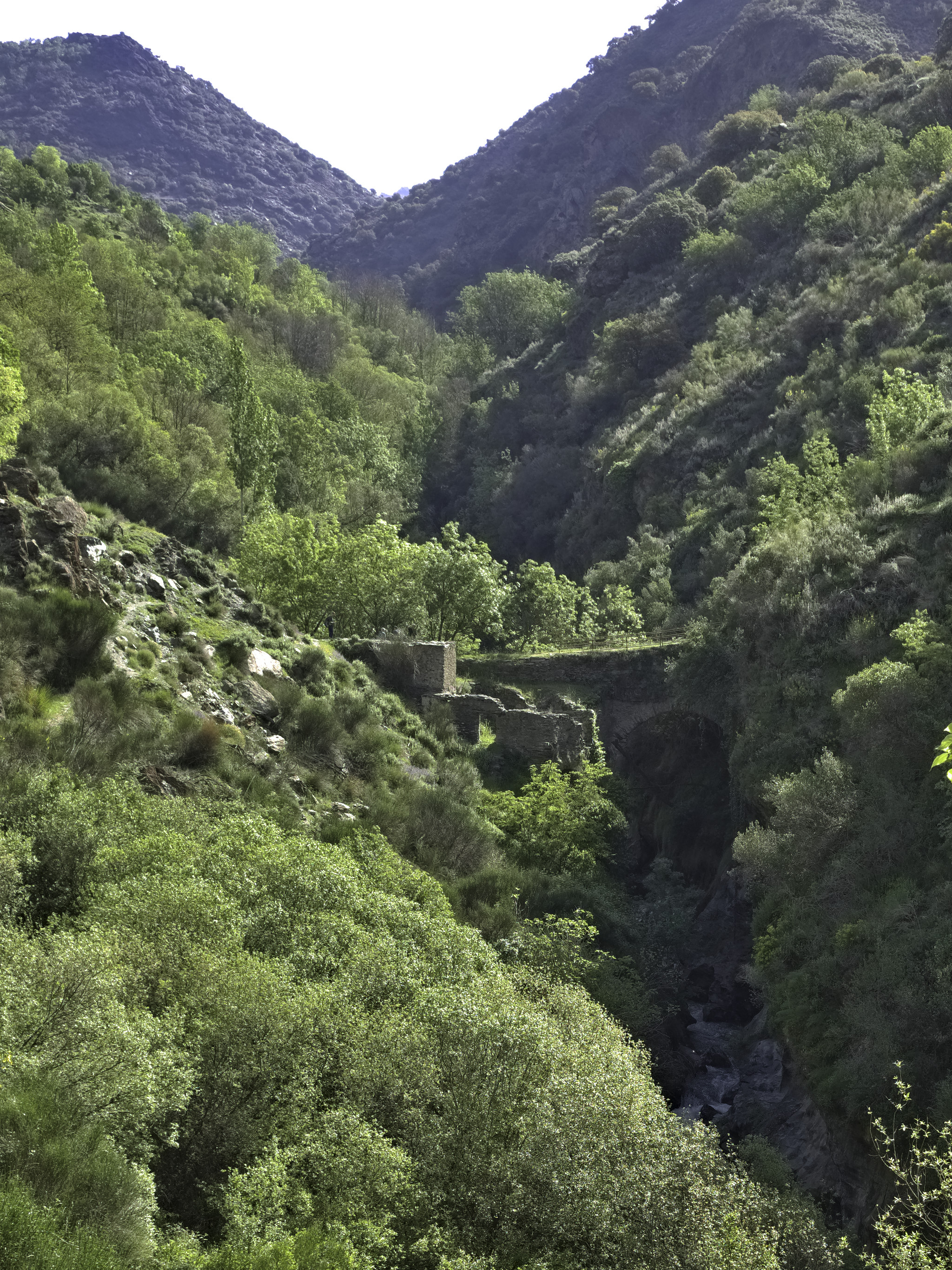 An ancient Roman bridge spans a narrow gorge over a river. Greenery abounds