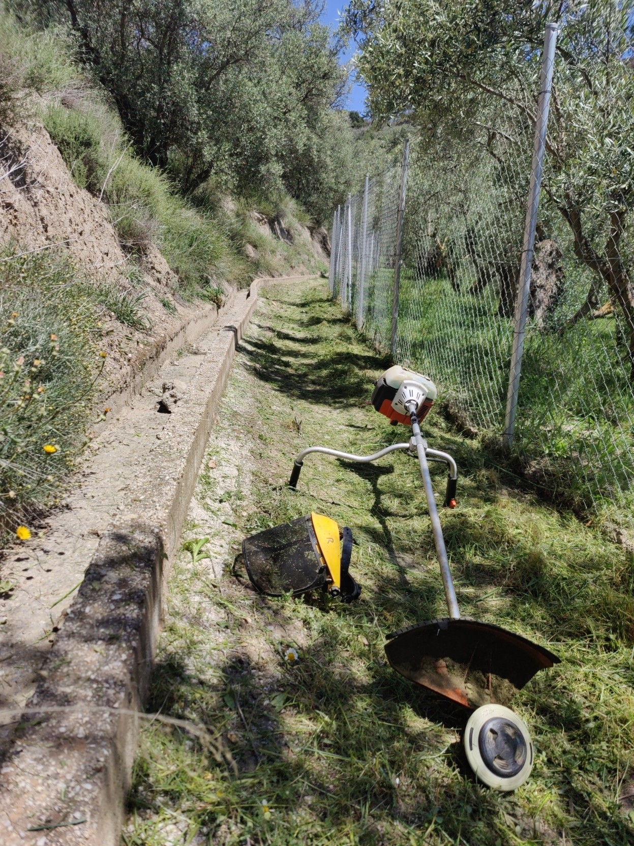 A land strimmer machine lies abandoned on a green path. A grey fence to the right and an irrigation channel to the left