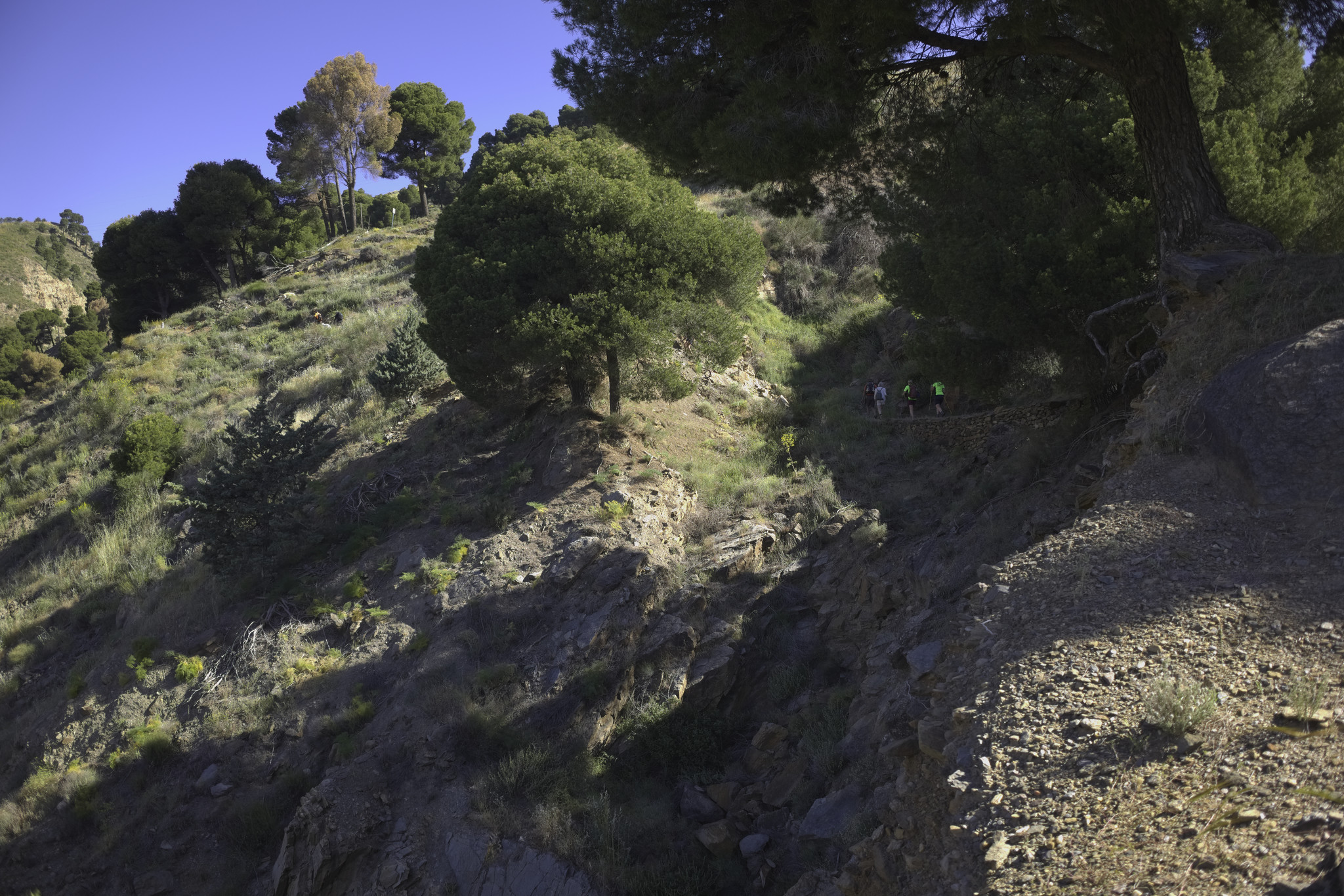 A open hillside with some trees is partly in shadow and partly in bright sunshine. A small group of hikers passes along a path in the shadow