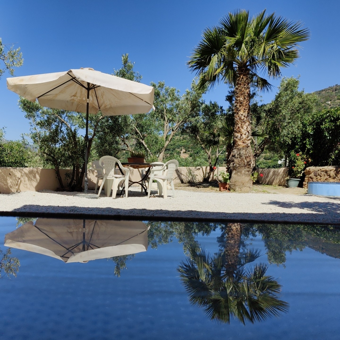 A sun umbrella stands above a table and chairs. To the right a large palm tree. All is reflected below