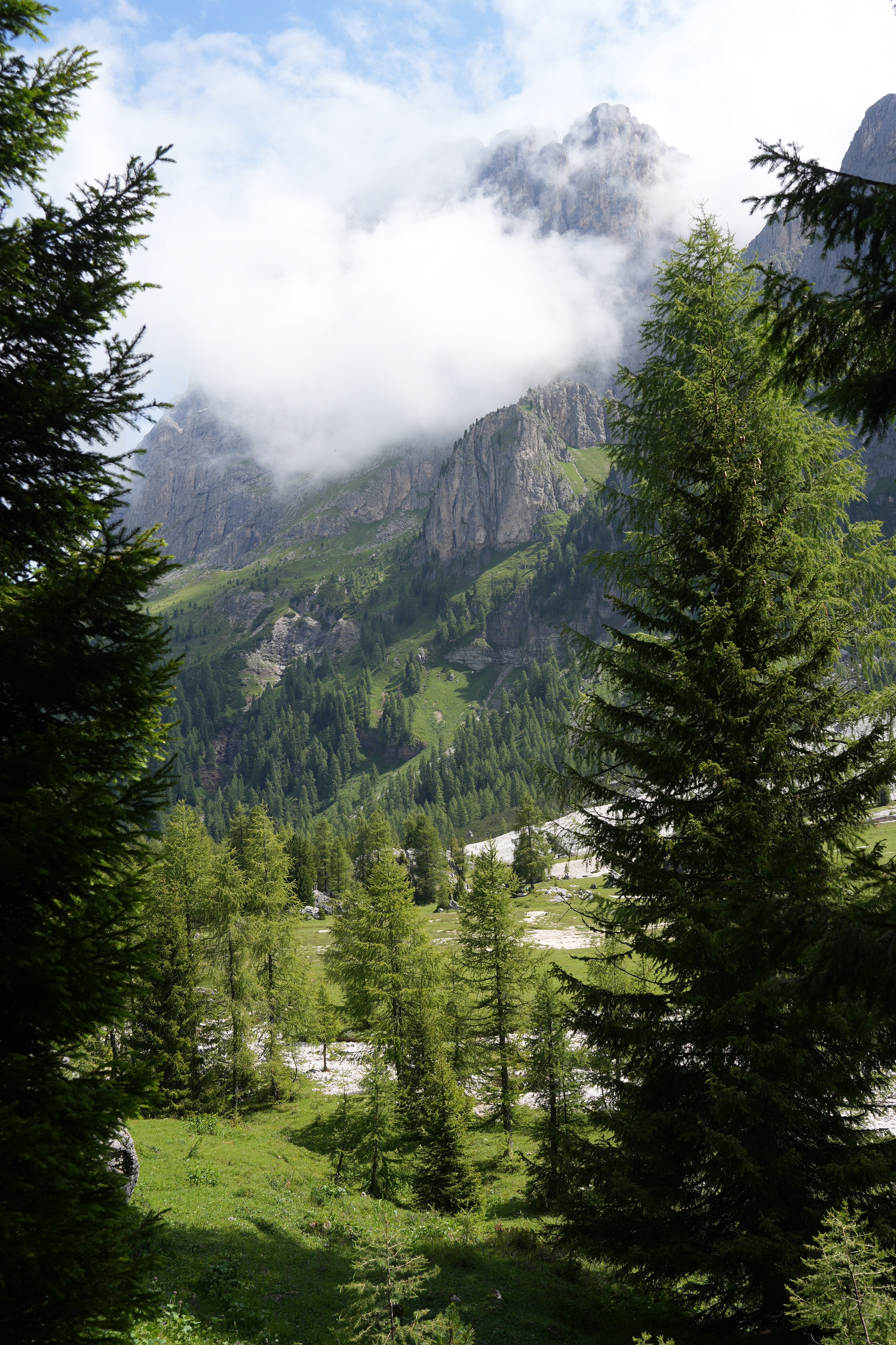 Looking through a gap in some pine trees towards a mountain rock face riding up and with clouds interspersed in the summit