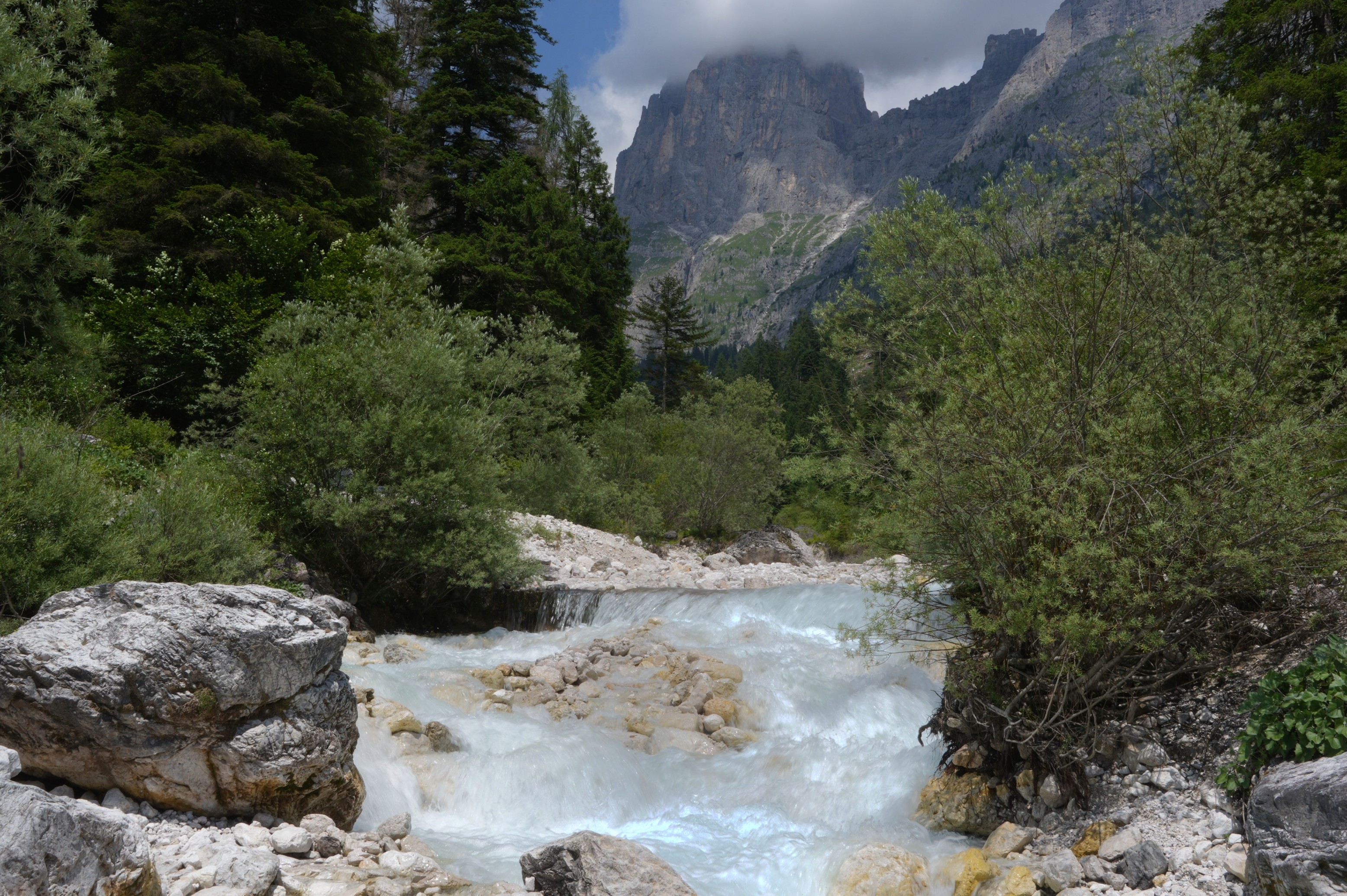 A glacial river gushes downstream through boulders. The riverbanks are surrounded by pines. At the back is a mountain with cloud on the sunmit